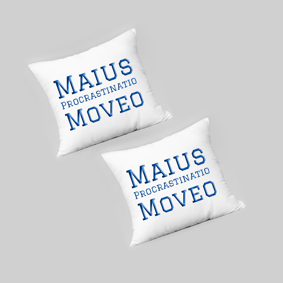 2x pillow blue.jpg