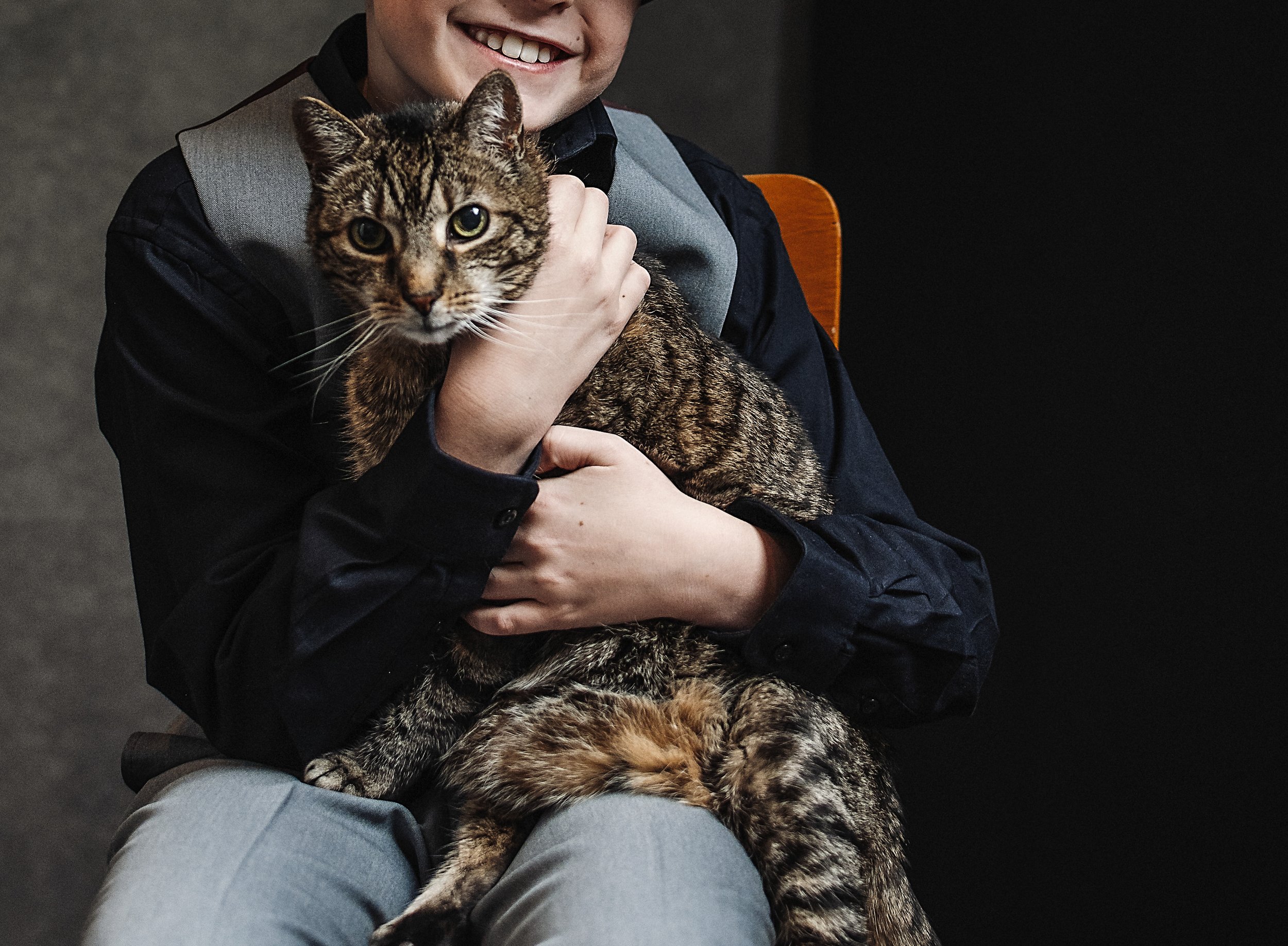 Close up shot of young boy child holding tabby cat in lap