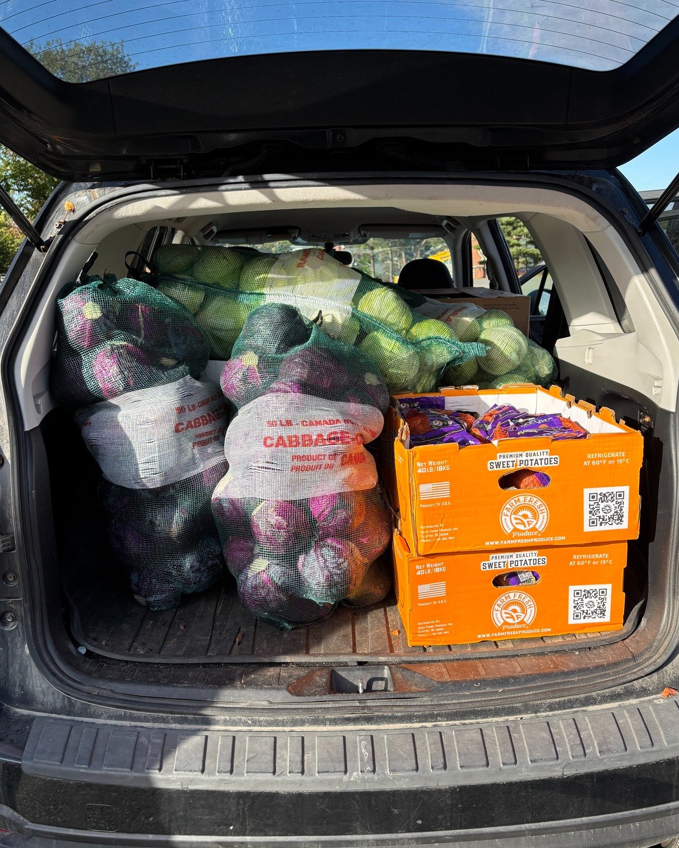 We're ready!! Our February Sale is taking place tomorrow Sunday, February 9 at 2700 Robie St, Halifax, from 10:30 am until noon 🍠🫑

We will have 1600 lbs of apples, red beets, green peppers, zucchinis, buttercup squash, carrots, red &amp; green cab