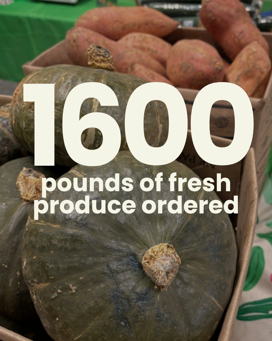We're ready! To make sure we don't sell out, we have ordered 1600 lbs of fresh produce so we have enough for everyone 🫑🍠

This Sunday, we will have apples, red beets, green peppers, zucchinis, buttercup squash, carrots, red &amp; green cabbage, swe