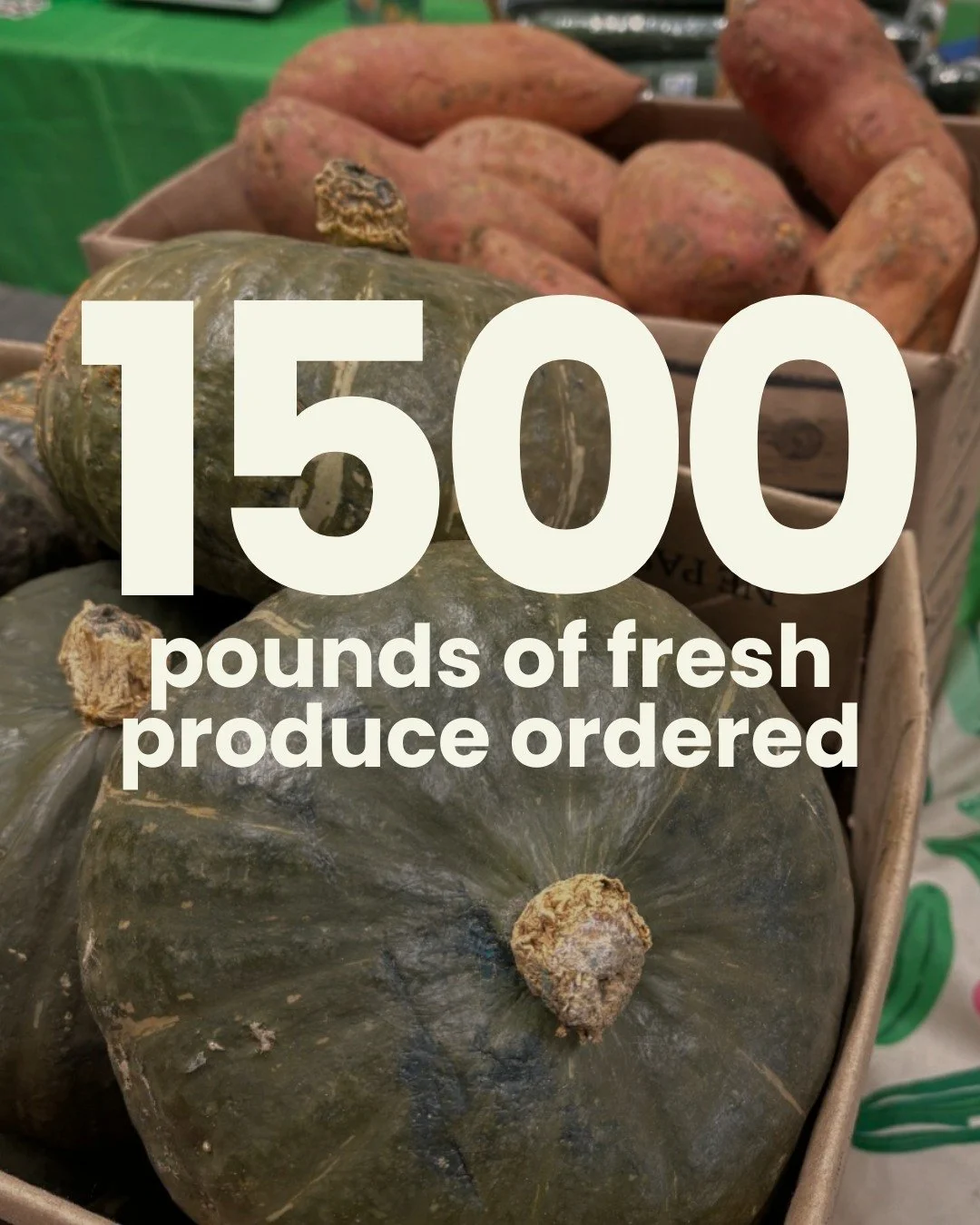 We're ready!! This Sunday, we will have more than 1500 lbs of apples, oranges, cucumbers, zucchini, buttercup squash, carrots, red beets, sweet potatoes, red and green cabbage, potatoes, and onions 🥒🥕🍎

Our April Sale takes place Sunday, April 12 