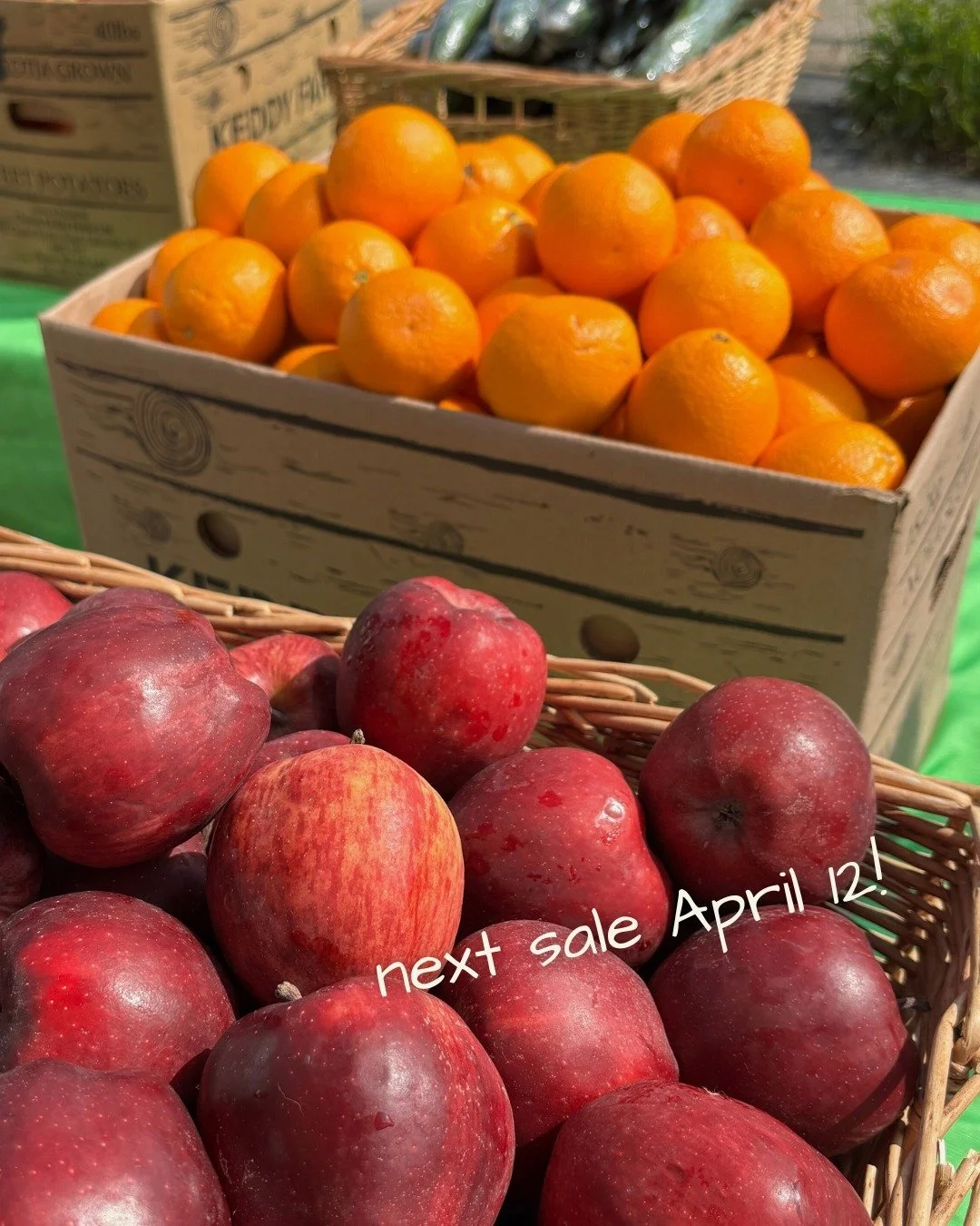 We love a bright, colourful veggie sale!! 🥒🥕🍎

This Sunday, we will have more than 1500 lbs of apples, oranges, cucumbers, zucchini, buttercup squash, carrots, red beets, sweet potatoes, red and green cabbage, potatoes, and onions for just $1/lbs 
