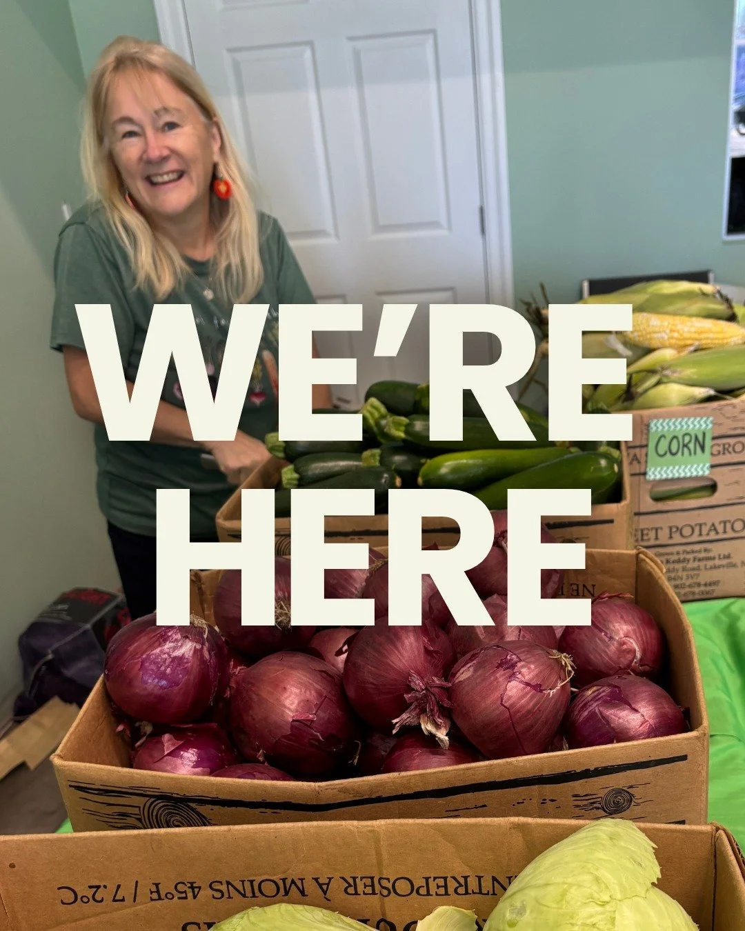 It's veggie sale day!! Our April Sale is taking place today, April 12 at 2700 Robie St, Halifax, from 10:30 am - 12 pm 🍎🥒🥕

We will have more than 1500 lbs of apples, oranges, cucumbers, zucchini, buttercup squash, carrots, red beets, sweet potato