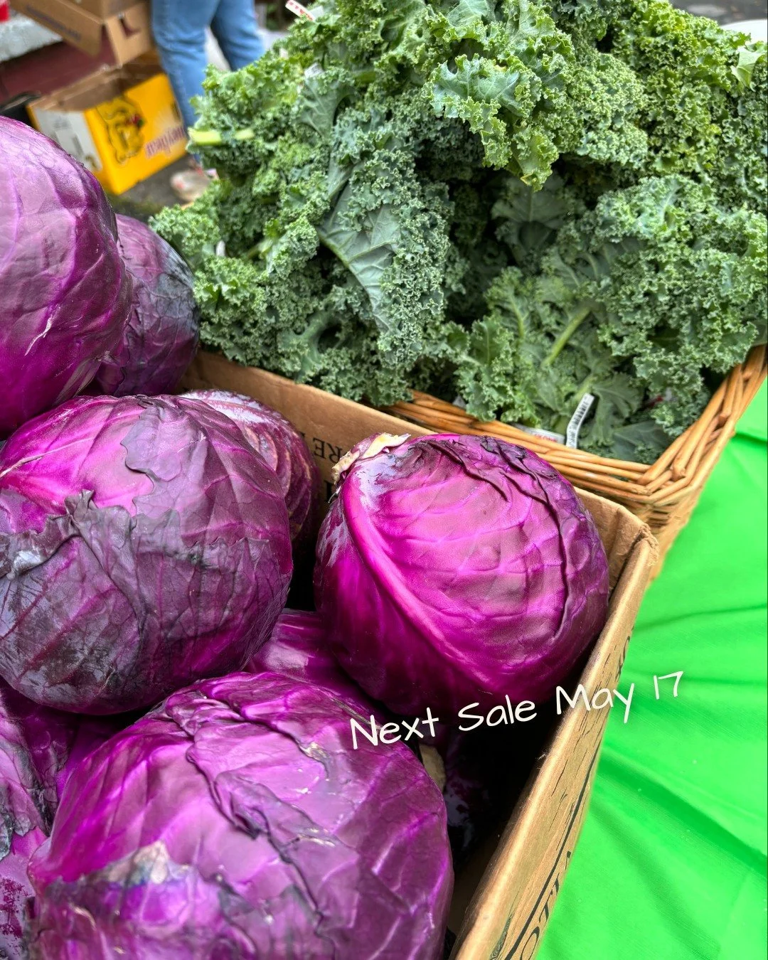 Warmer days mean bright, colourful veggie sales are coming back!! 

Our next sale is taking place May 17 at 2700 Robie St from 10:30 am - 12 pm 🍅🥕 RSVP Now: https://forms.gle/3oZaniNGbSbaf1UQ6