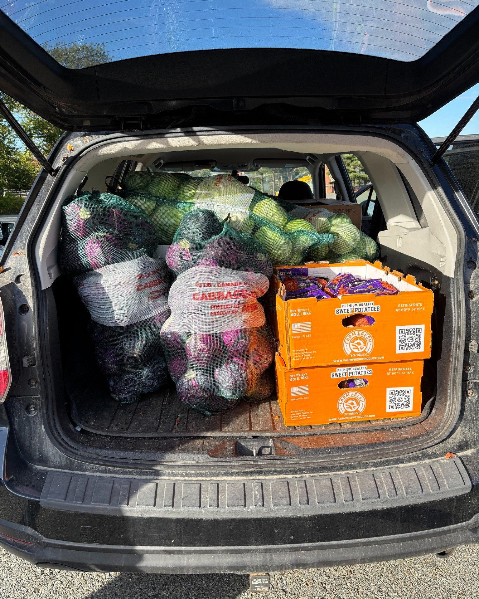We're ready! Last night, our volunteers picked up more than 1400 lbs of produce for our May Sale 🍅🍊🥒

Our May Sale is taking place tomorrow, Sunday, May 17 at 2700 Robie St, Halifax, from 10:30 am - 12 pm! 

We will have honeycrisp apples, oranges