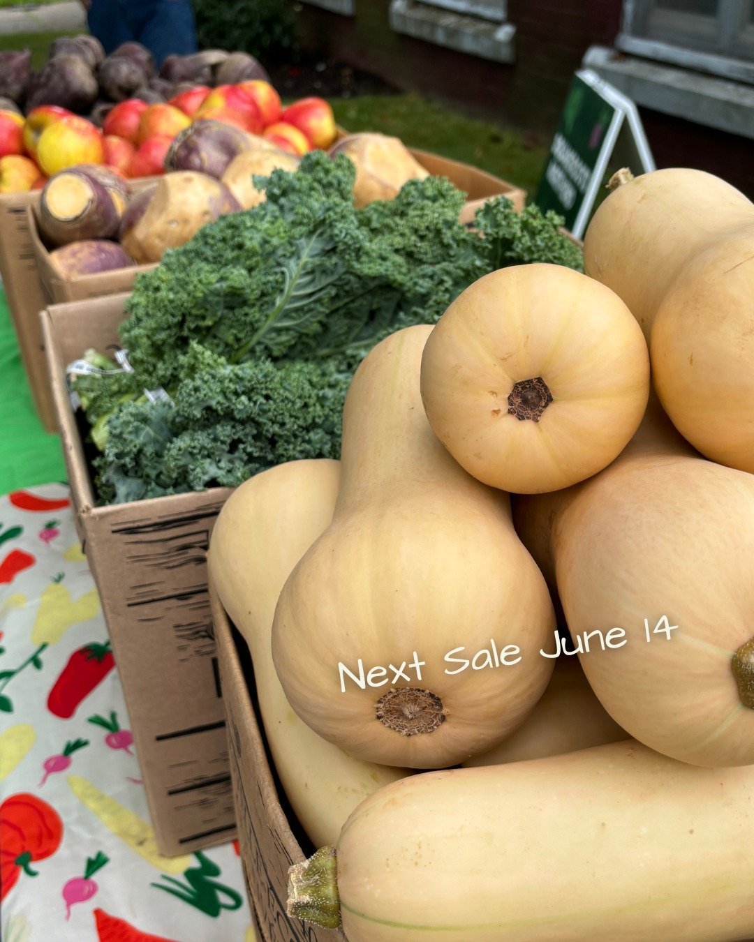 The sun is finally back and so is the countdown to our next little veggie sale!! 🍅🥒☀

Our June Sale will be taking place on June 14 at 2700 Robie St from 10:30 am - 12 pm with more than 1000 lbs of fresh produce for just $1/lbs. RSVP Now: https://f