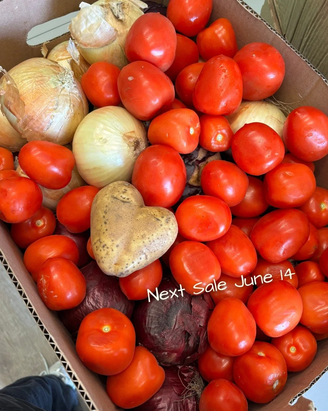 As our goal is to always order enough produce for everyone, we often have leftover produce which we love donating to our friends at Halifax Community Fridge, Dartmouth Community Fridge, Veith House and Souls Harbour 🤍

Our next sale is taking place 