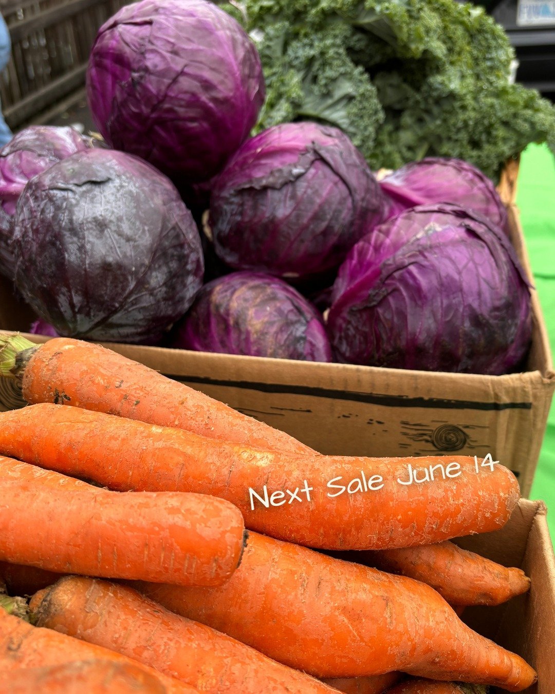 We're getting ready to order our June produce! Which fruits and veggies are you hoping to see at our next sale? ⬇🫑🍅🥕

Our June Sale is taking place Sunday, June 14 at 2700 Robie St from 10:30 am - 12 pm. RSVP Now: https://forms.gle/gmNth5hgKrAYn13