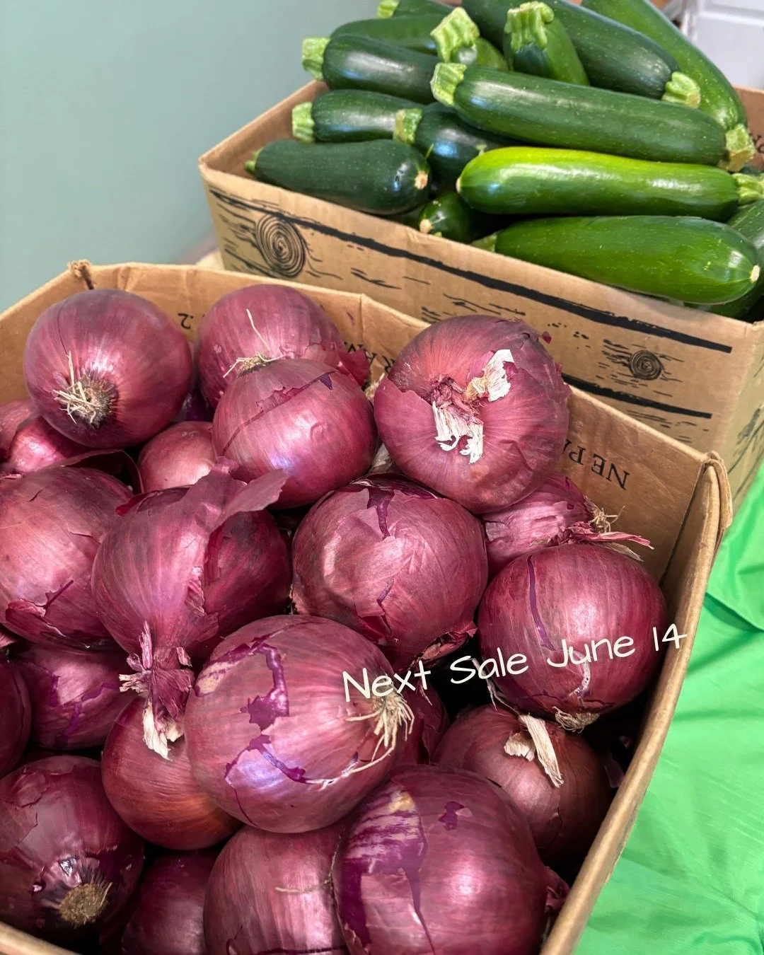 We are so excited to see all the bright, colourful fruits and veggies at our June Sale this Sunday!! 🍅🥒🍠 🌽🧅

We will have more than 1400 lbs of honeycrips apples, oranges, tomatoes, cucumbers, zucchini, buttercup squash, sweet potatoes, carrots,