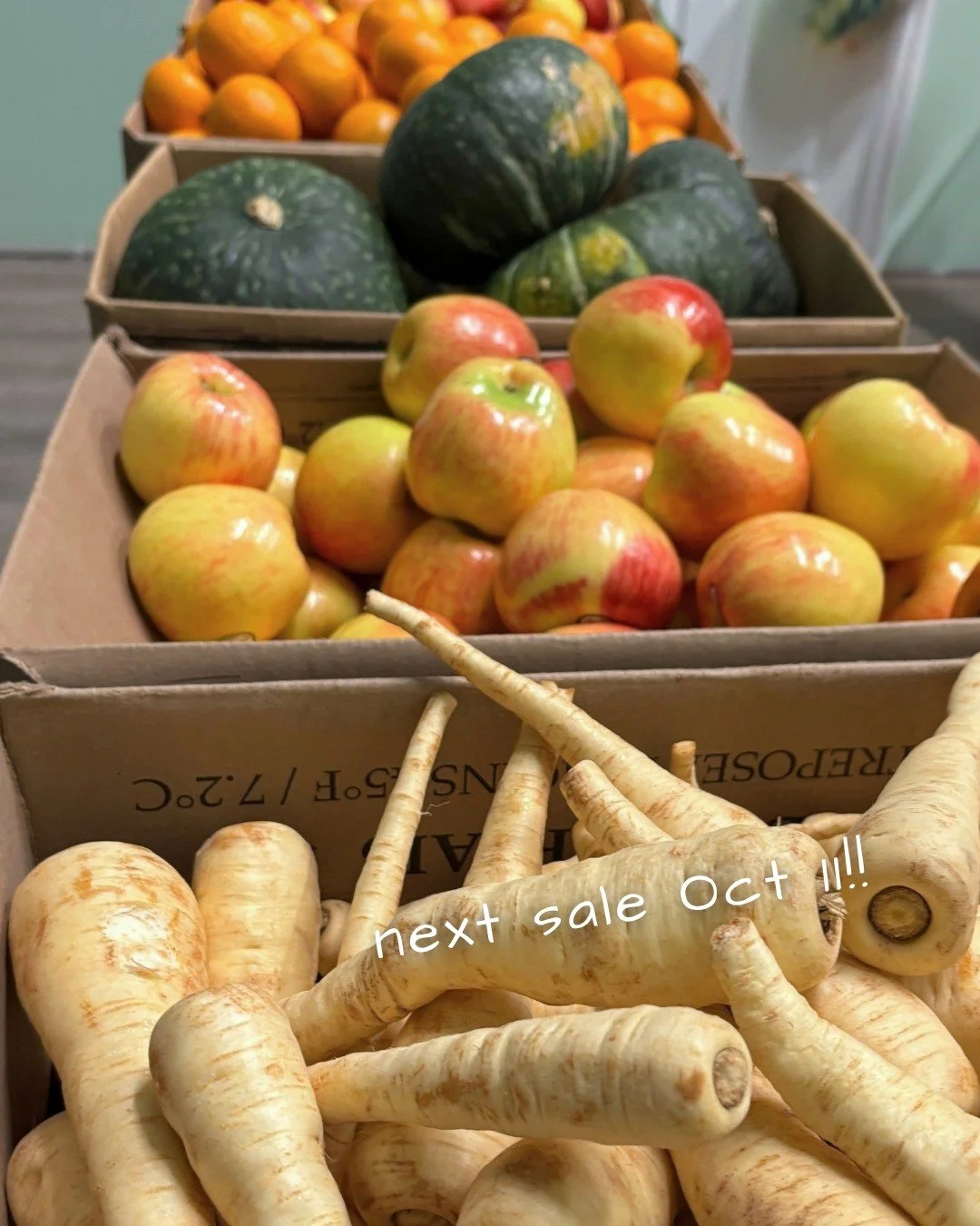 This Sunday, you can find all the fixins for your Thanksgiving dinner at our October Veggie Sale 🍎🍠🥒

We will have more than 2200 lbs of apples, pears, tomatoes, rainbow carrots, butternut squash, spaghetti squash, green cabbage, sweet potatoes, p
