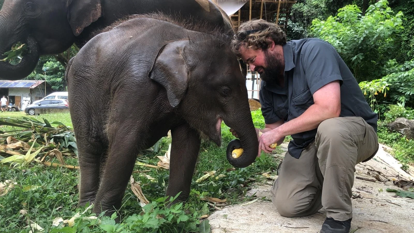 A man kneeling down offers food to a baby elephant, touching its trunk with his forehead; in a lush outdoor setting.