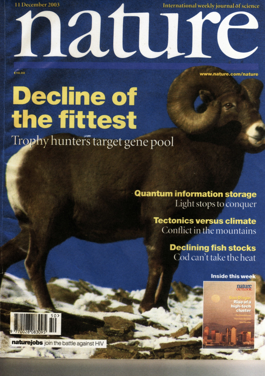 The cover of the December 11, 2003 issue of Nature magazine featuring a large, brown ram with curved horns standing on snowy ground against a blue sky. The cover has various headlines related to science topics.