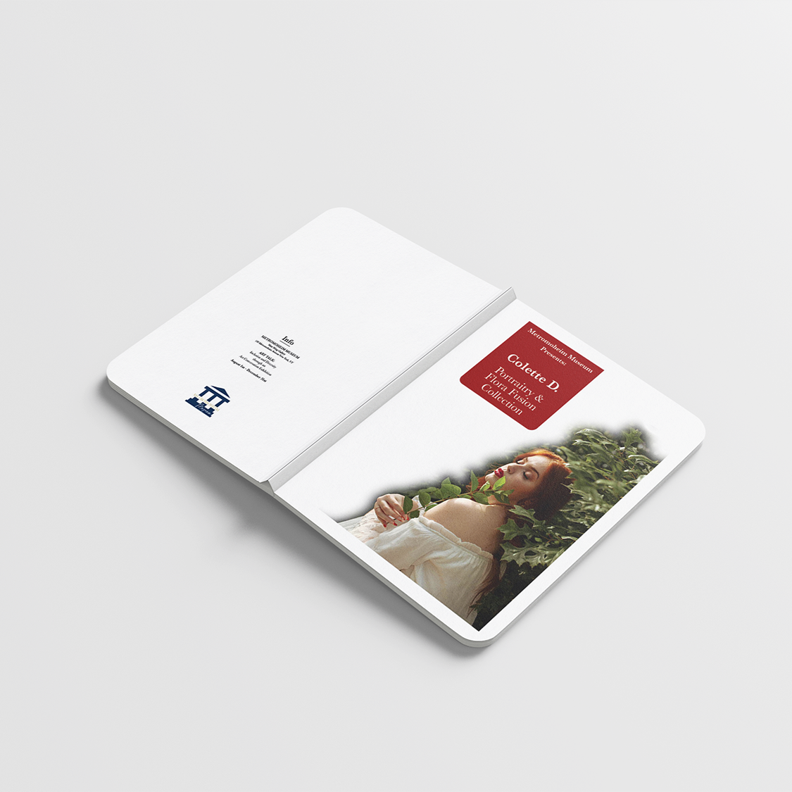 Mockup_covers.png
