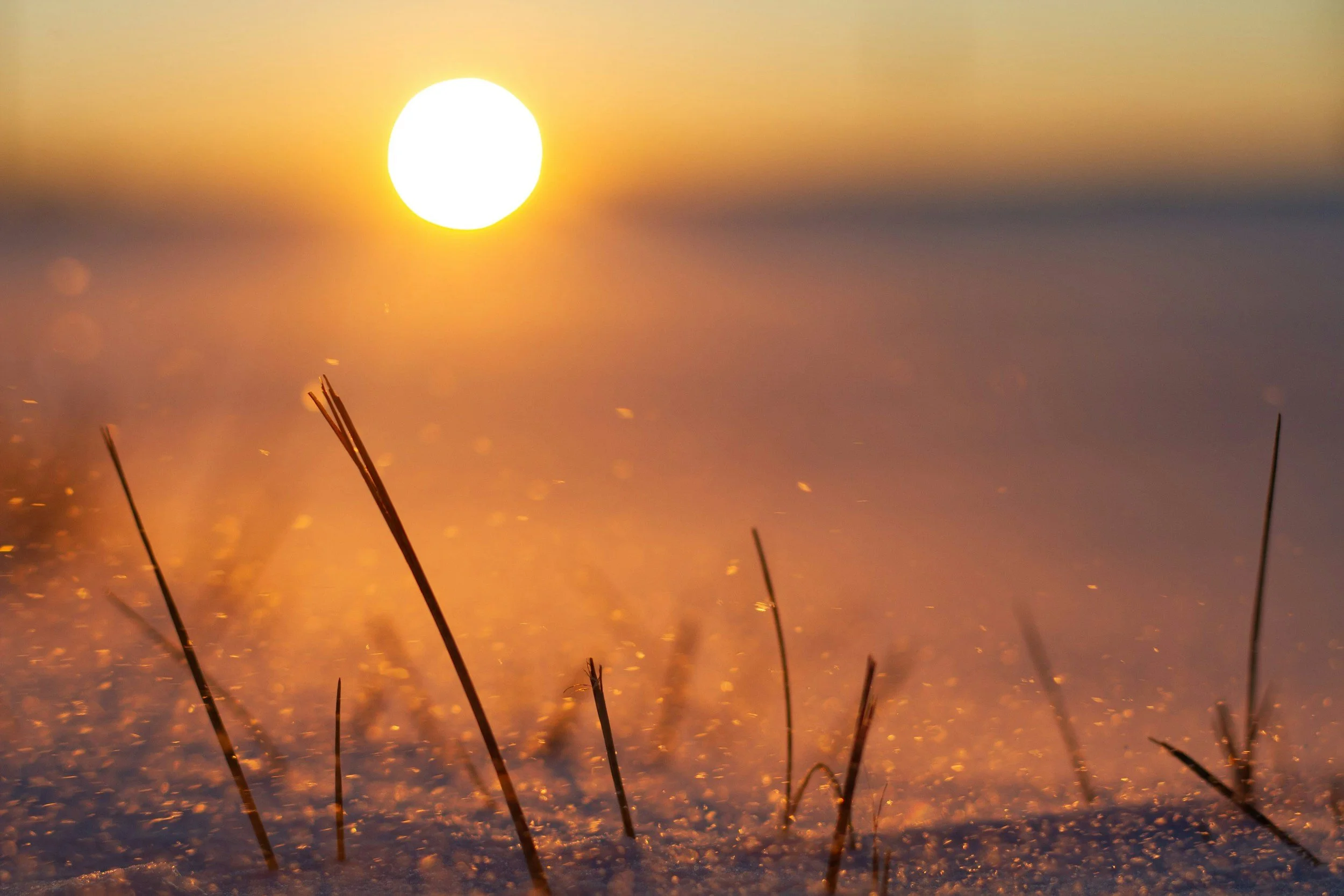 Winter solstice - a blessing