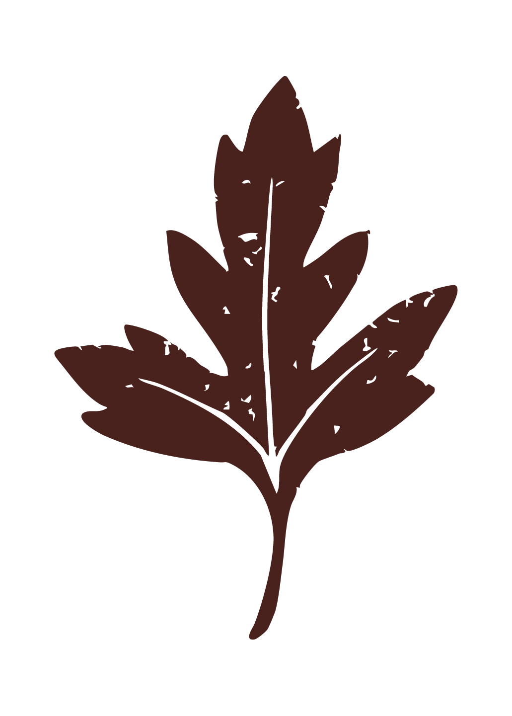 A brown hawthorn leaf illustration