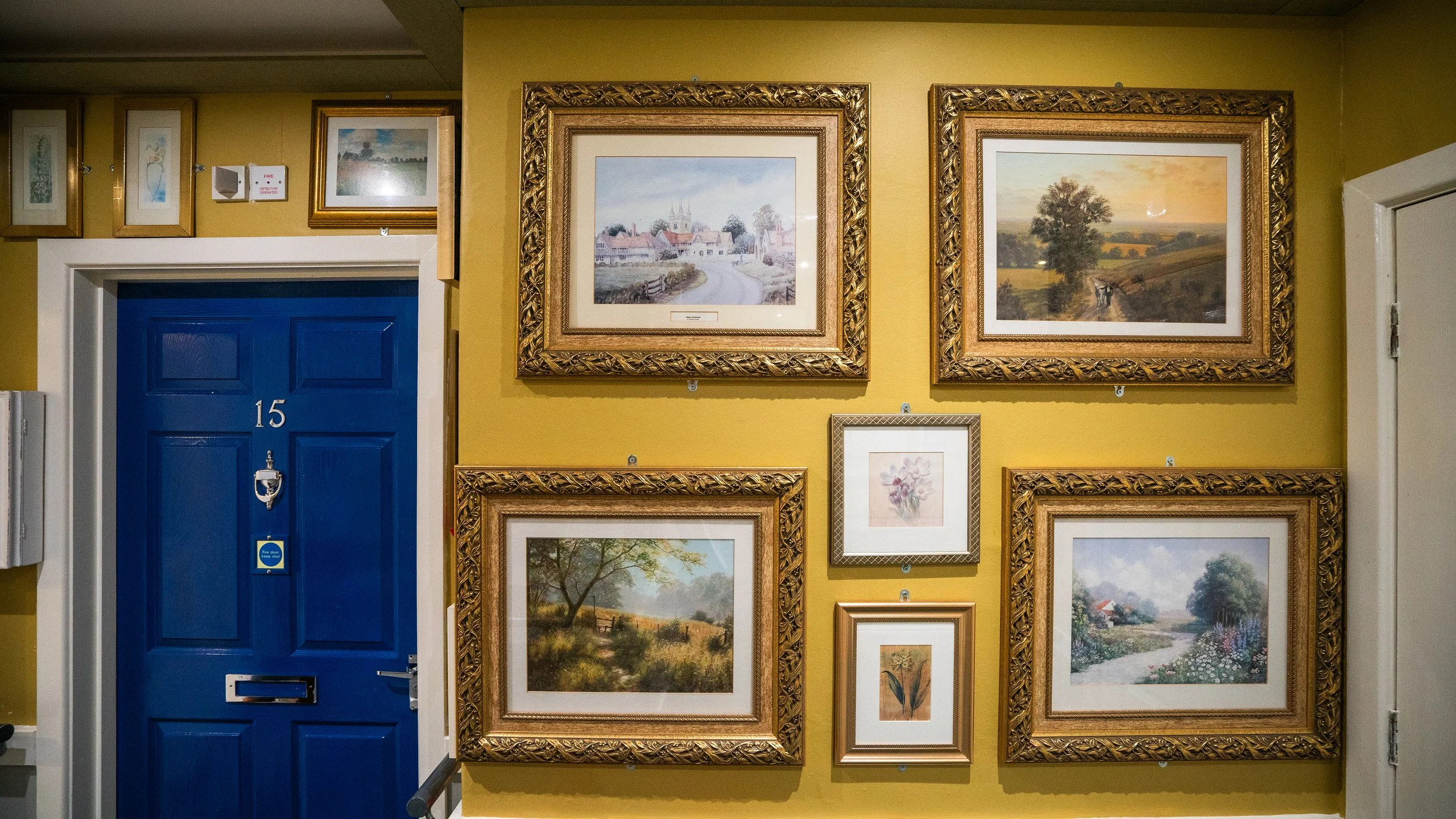 A wall with multiple framed landscape and nature paintings in an art gallery, with a blue door on the left side marked with the number 15.