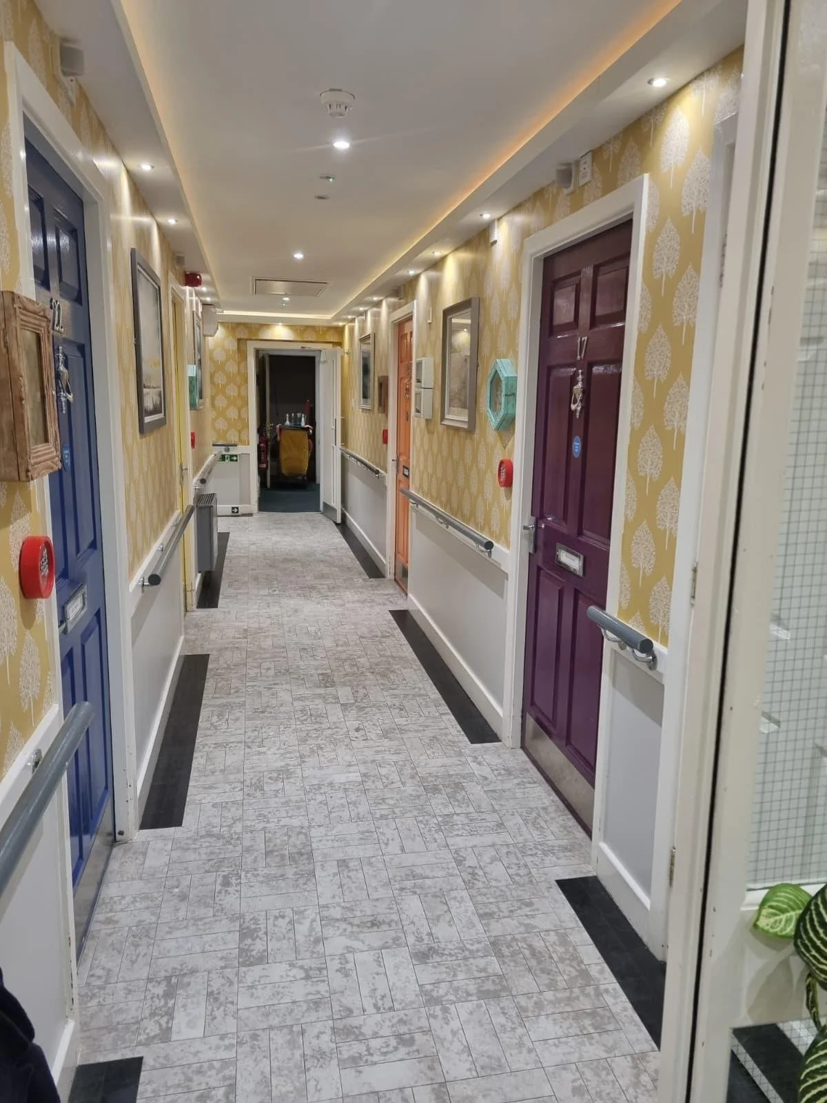 Hallway with colorful doors, yellow patterned wallpaper, framed pictures, and plants, leading to a darker area at the end.