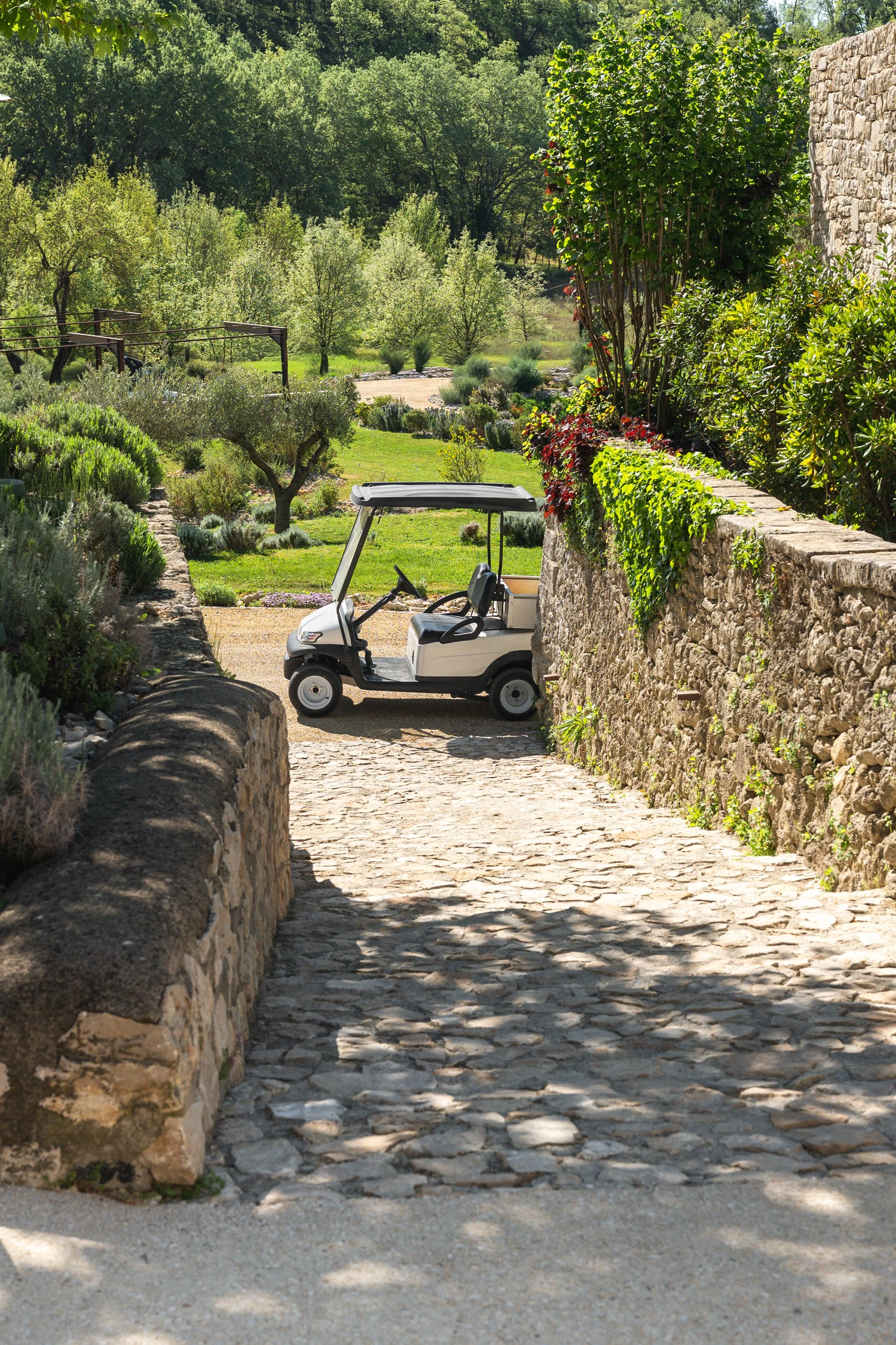 26-04-20-sans titre-13.jpg