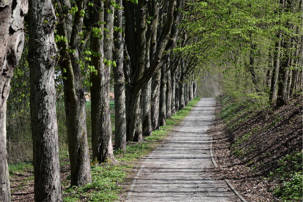 Rest Doesn't Fix the Wrong Direction