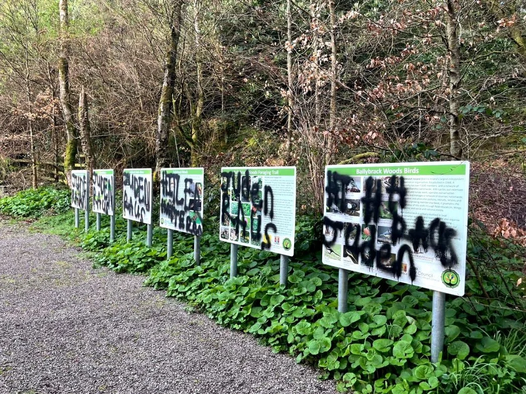 Statement Condemning Anti-Semitic Graffiti in Cork