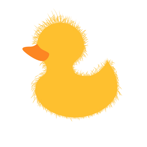 Private swimming lessons for beginners