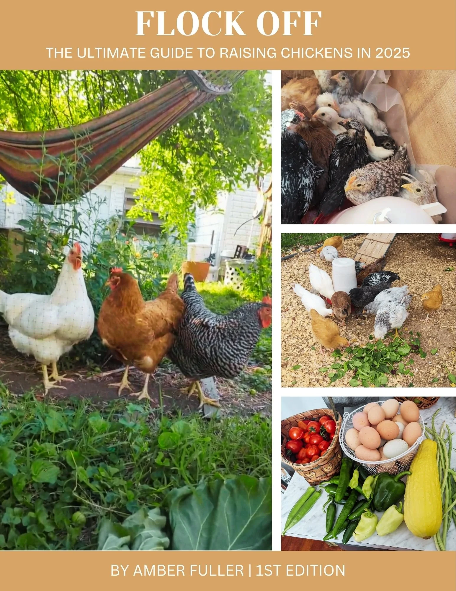 Flock Off: The Ultimate Guide to Raising Chickens