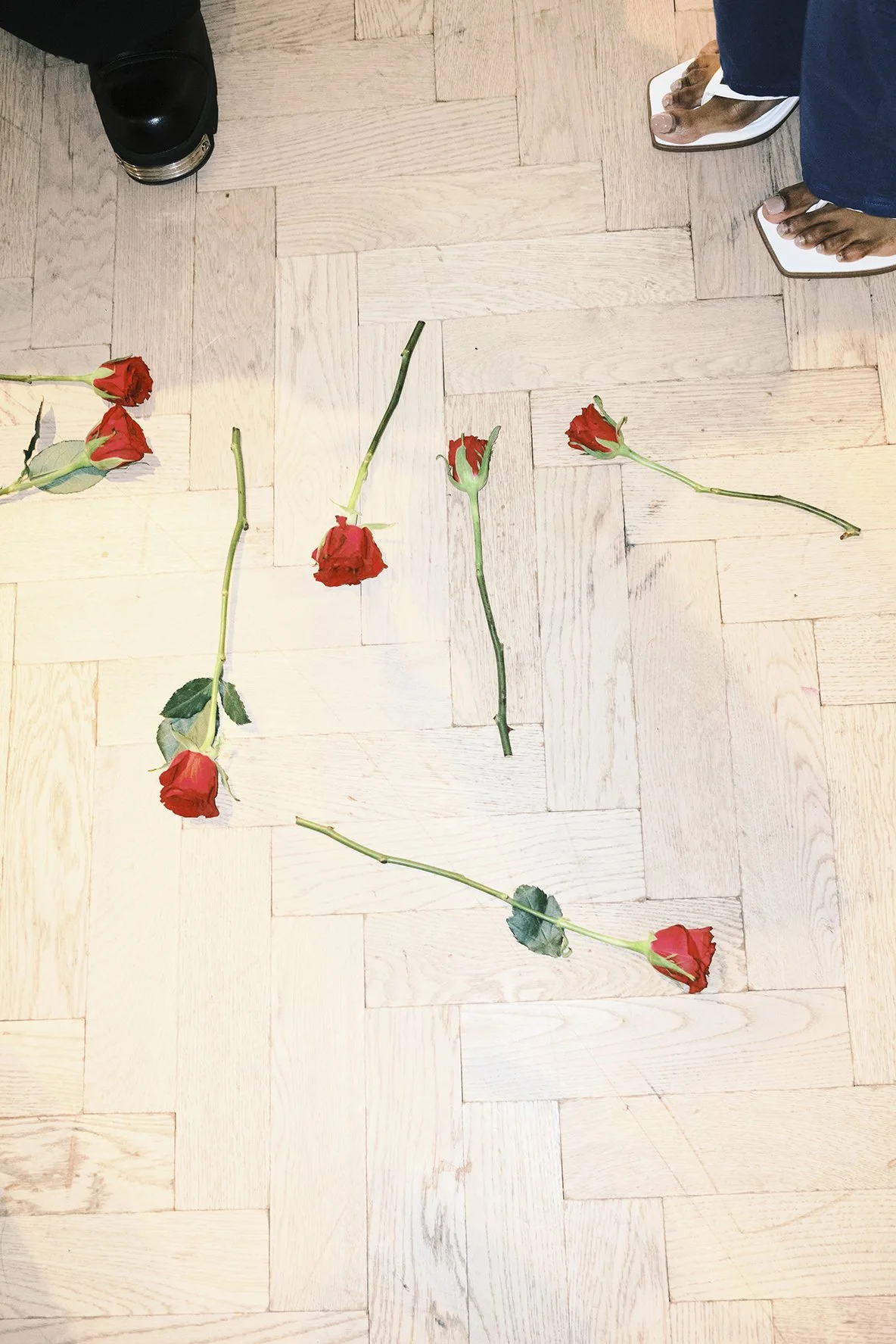 DSCF7074.jpg