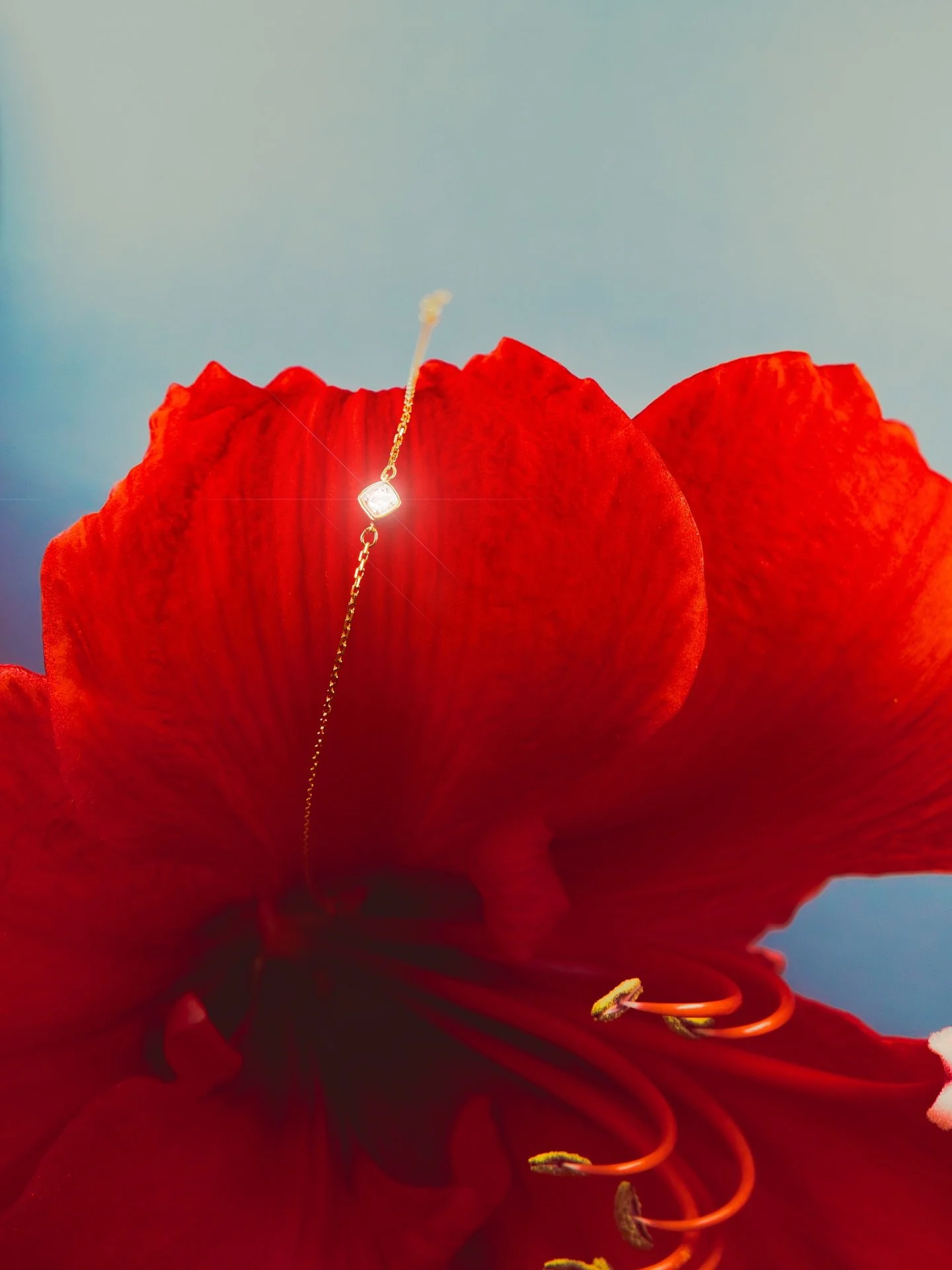 Recherches personnelles pour @singularity_galleries 🌺
Bracelet en Or 18 carats &amp; diamant naturel 💎 

#productphotography #luxuryphotography #jewerlyphotography #photographer #flowers