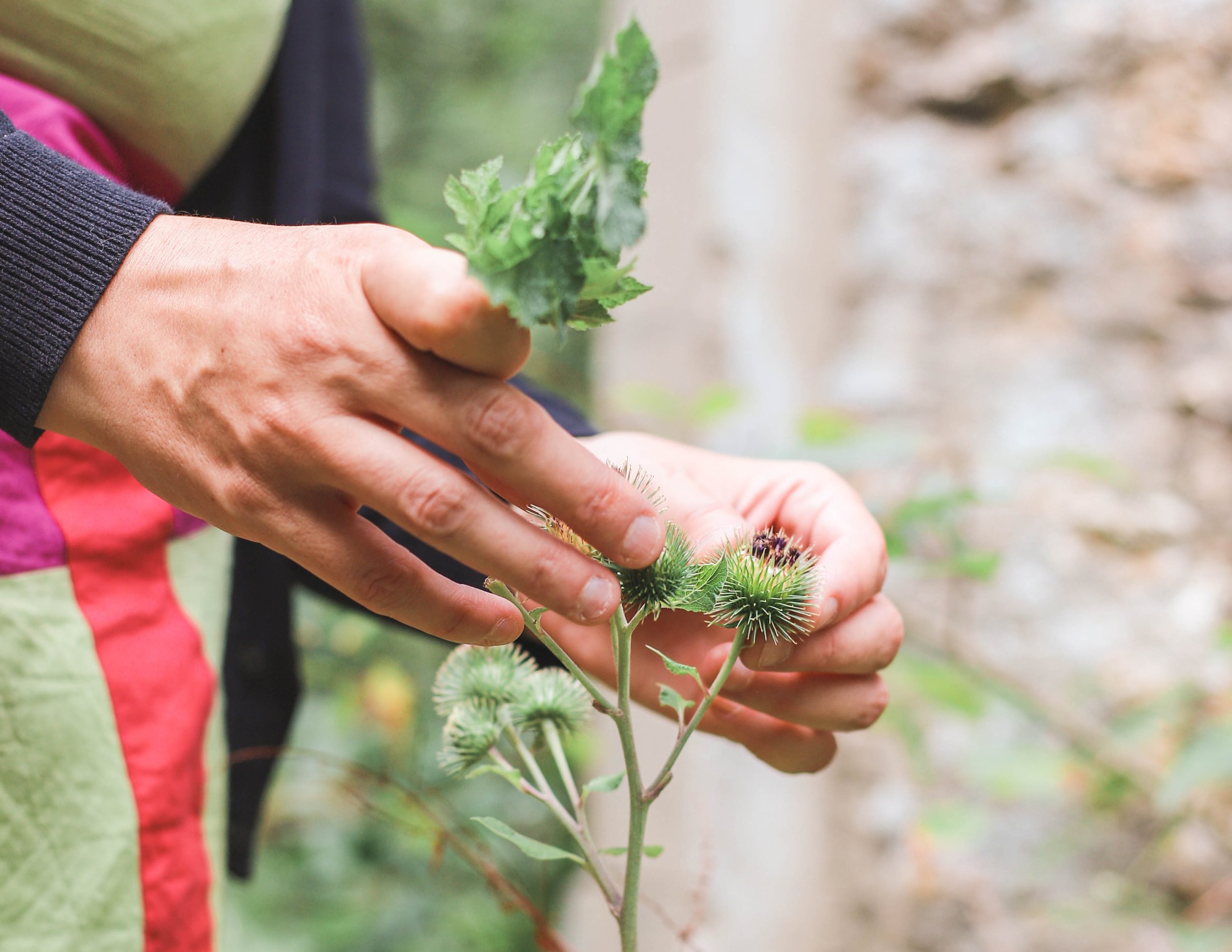 rando-cueillette-helloways-decathlon-photo-evenement-paris