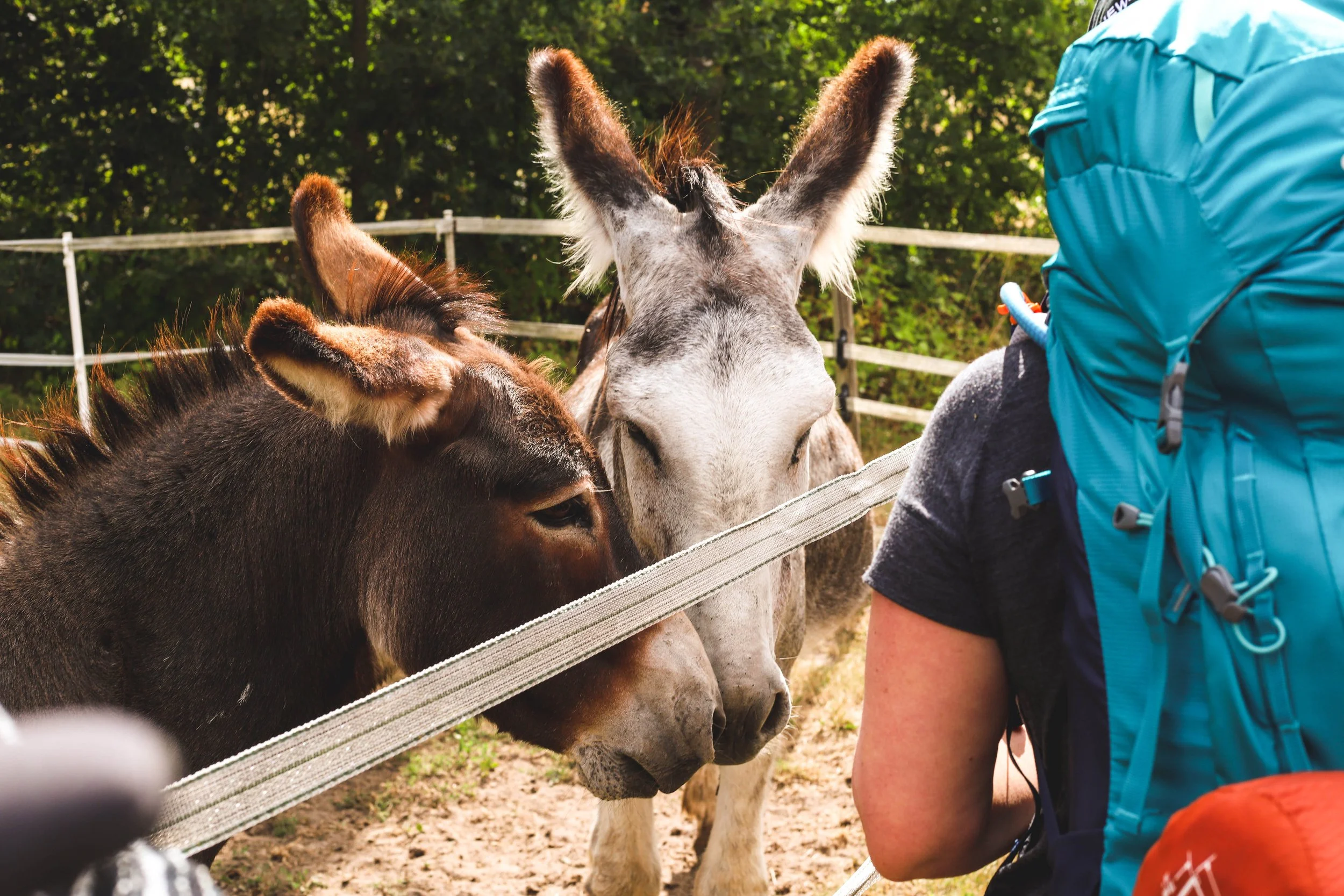 rando-cueillette-helloways-decathlon-photo-evenement-paris