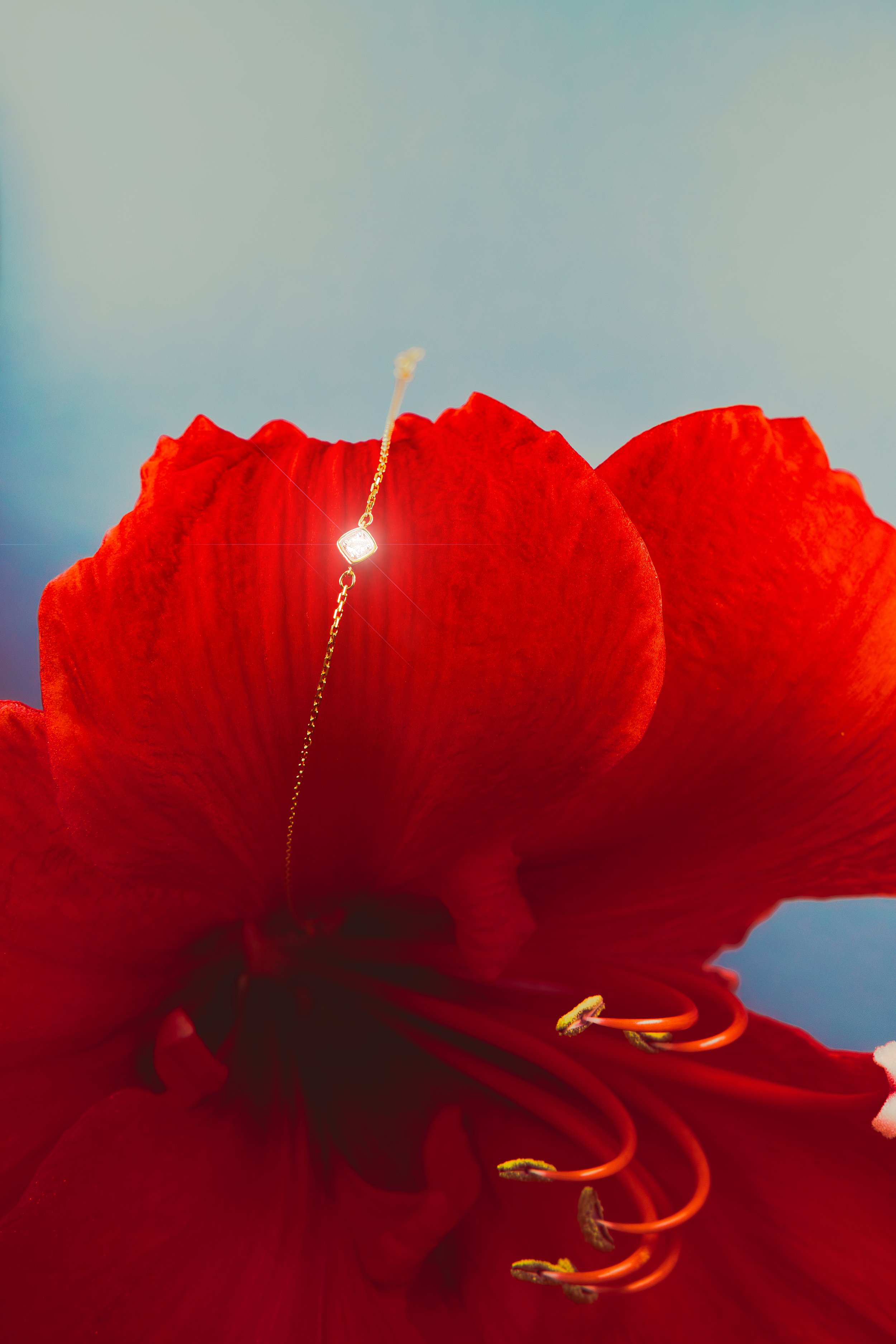 photo-produit-bijoux-jewerly-paris