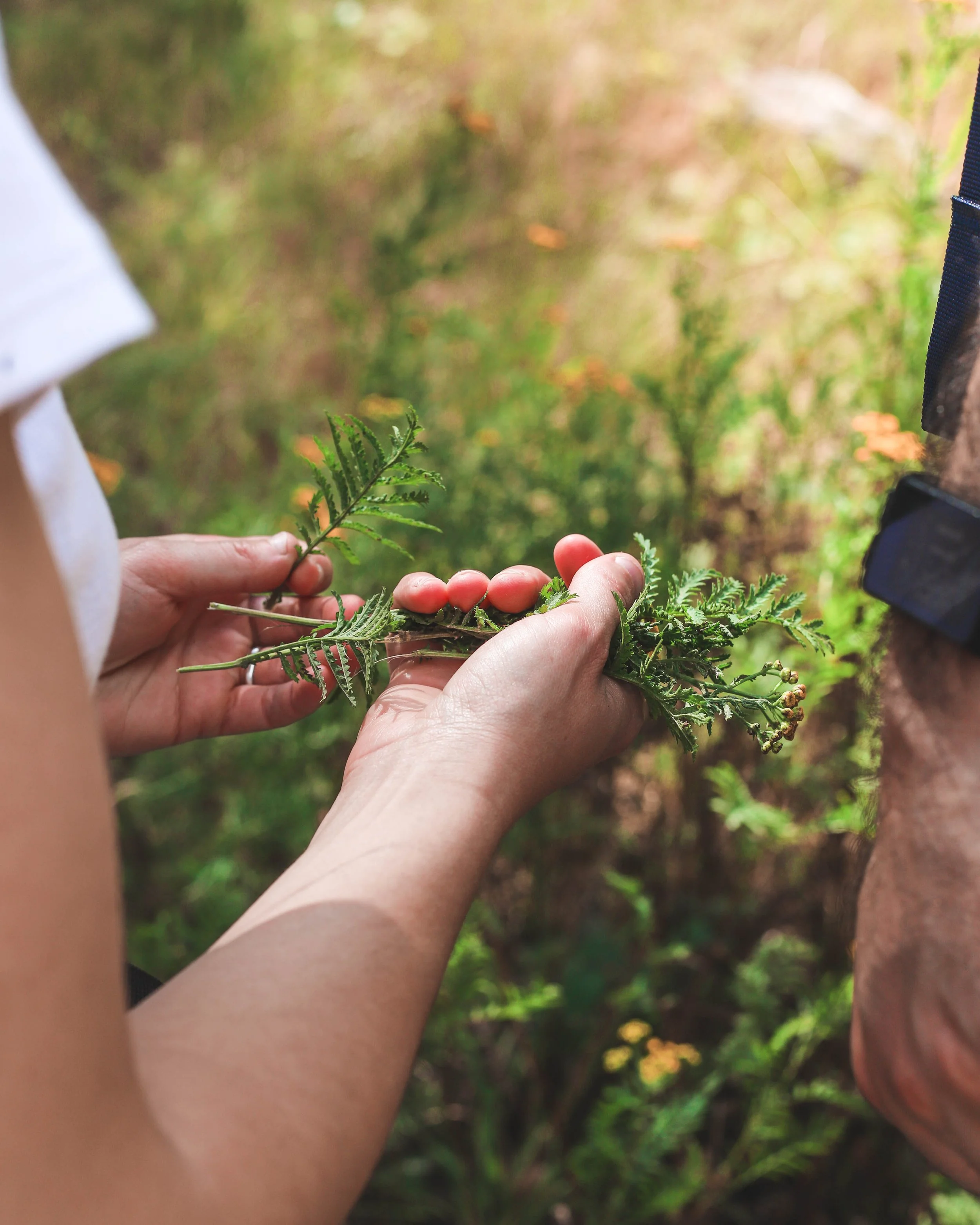 rando-cueillette-helloways-decathlon-photo-evenement-paris