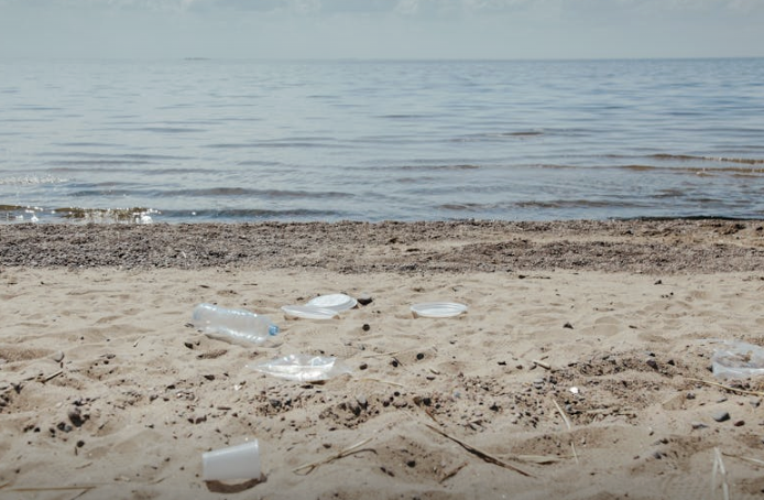Plastic Pollution in Our Oceans: A Growing Crisis 