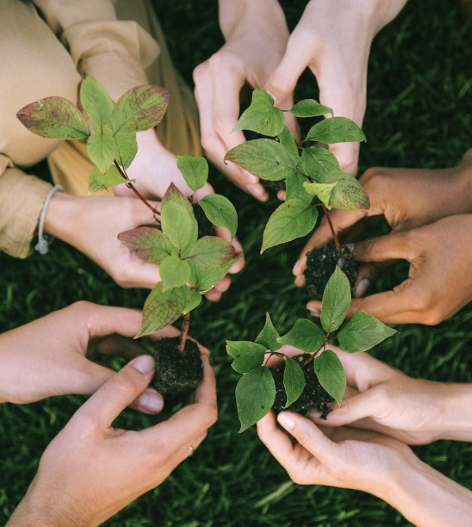 30 by 30: The Global Plan to Protect Our Planet 