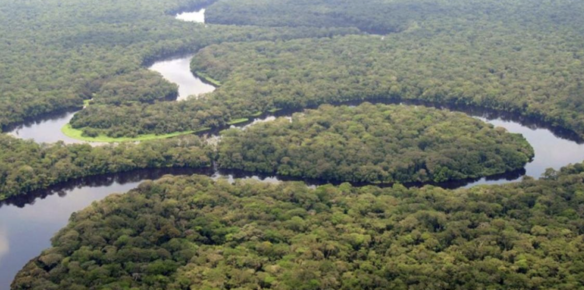 Ancient Carbon Rising: Why the Congo Basin Peatlands Matter 