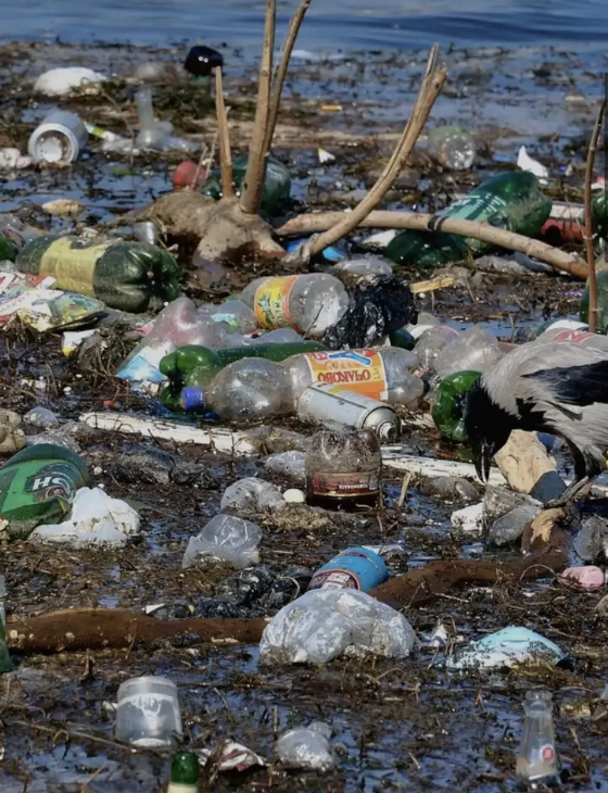 What the Latest Ocean Warming Research Really Means. 