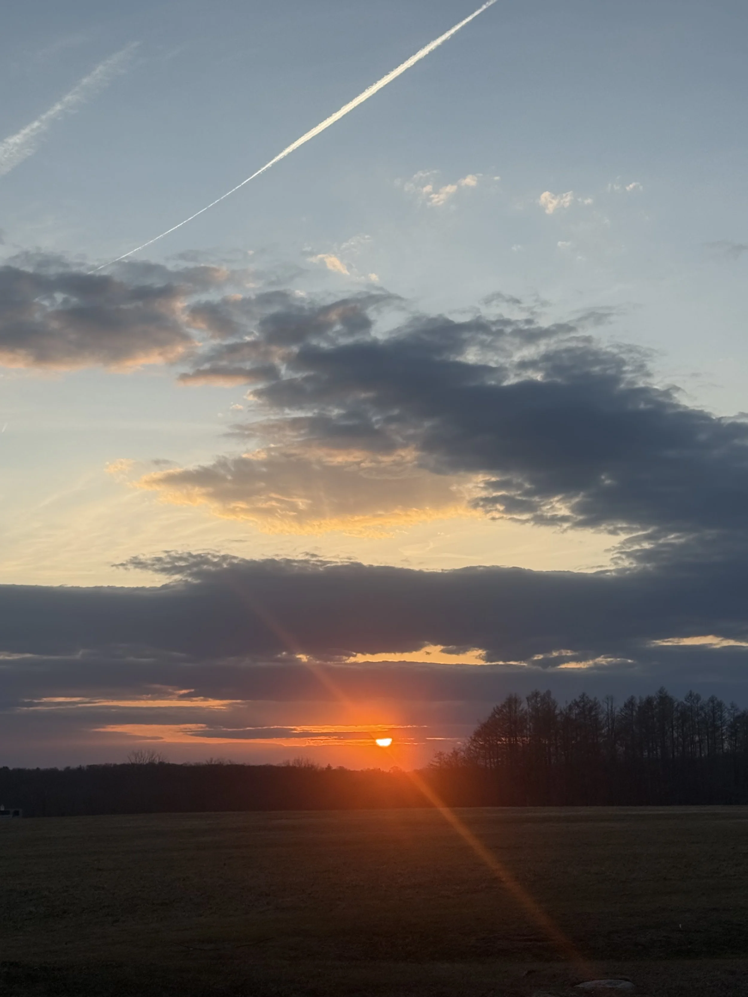 IMG_4208.jpg