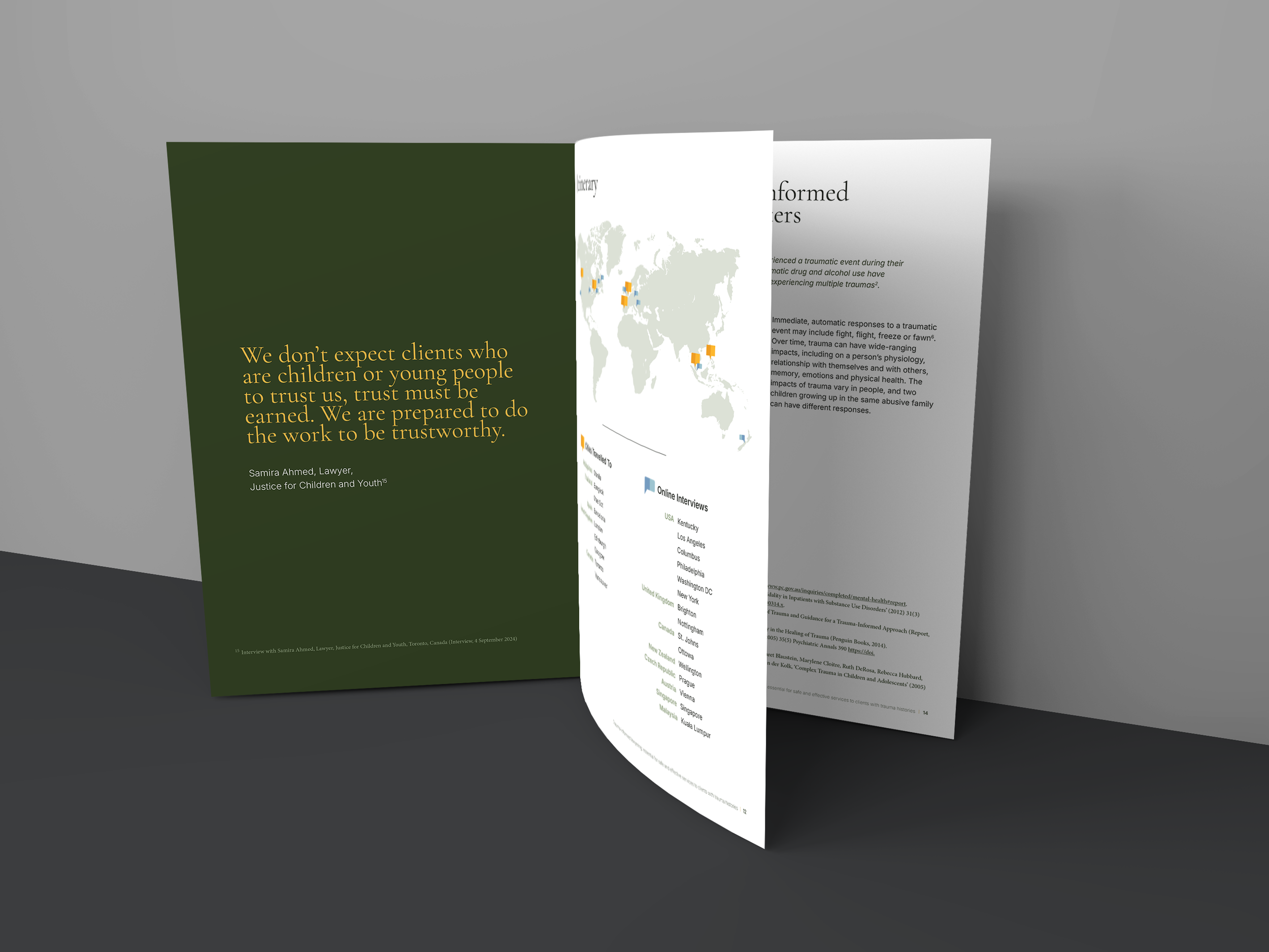 3 Page Brochure Mockup.png