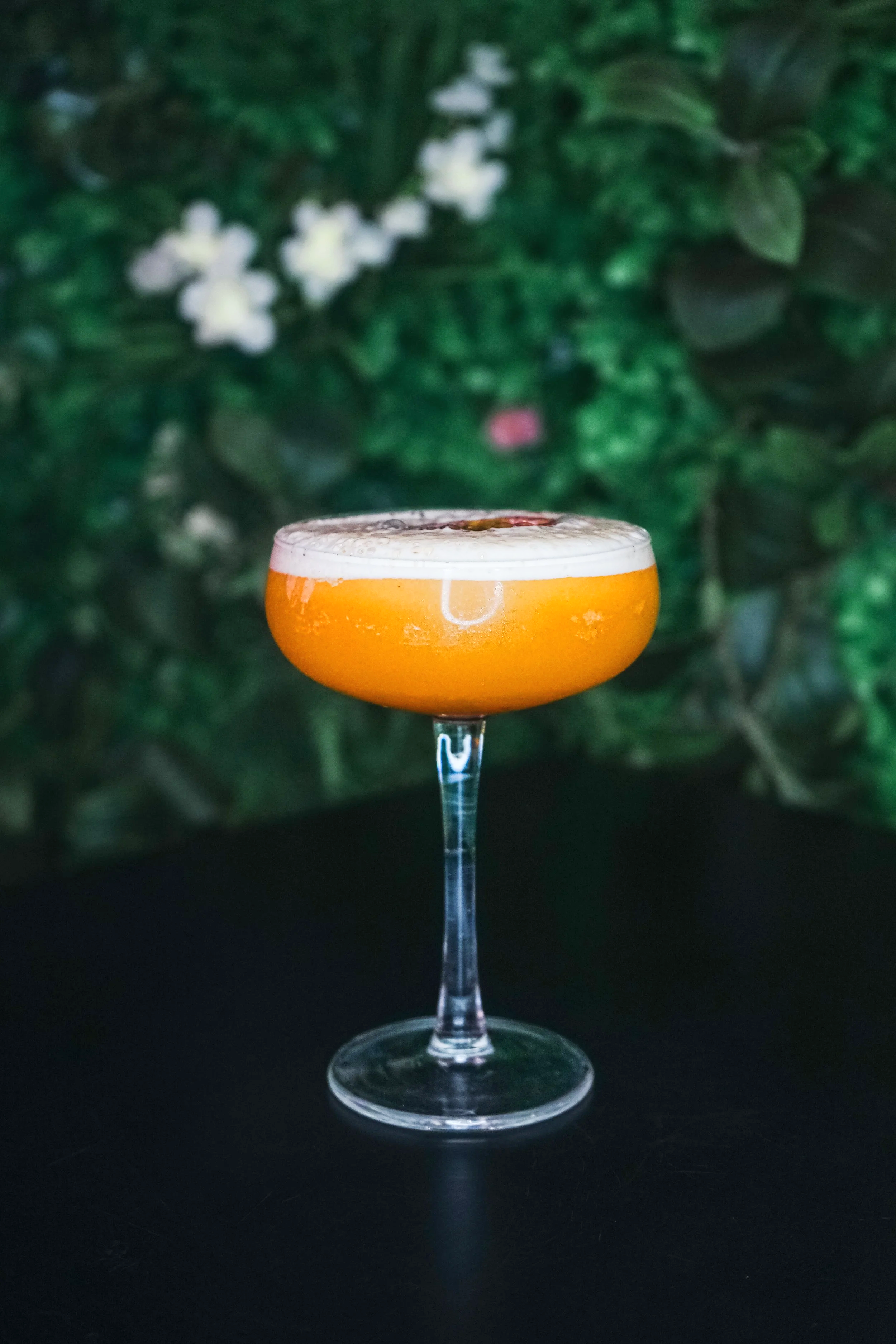 A cocktail in a coupe glass with an orange-colored drink and a frothy white top, garnished with rose petals, against a dark background with green foliage.