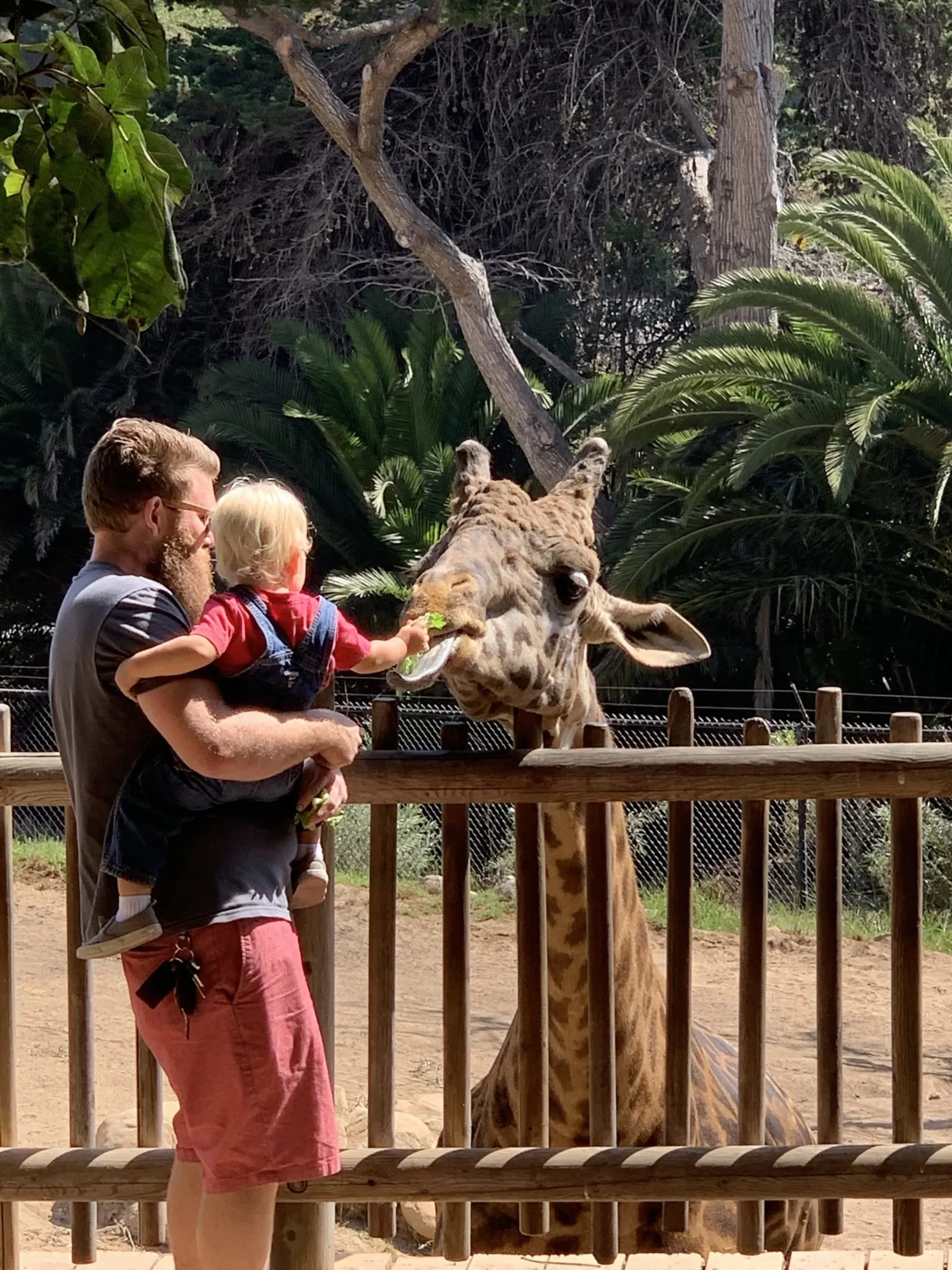 2020 Fall Family Guide to Santa Barbara & Solvang