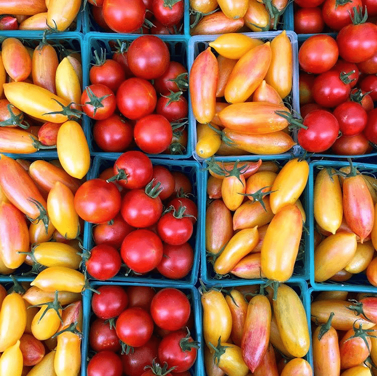 Your Guide To Shopping The Best Farmers Markets In Santa Barbara County