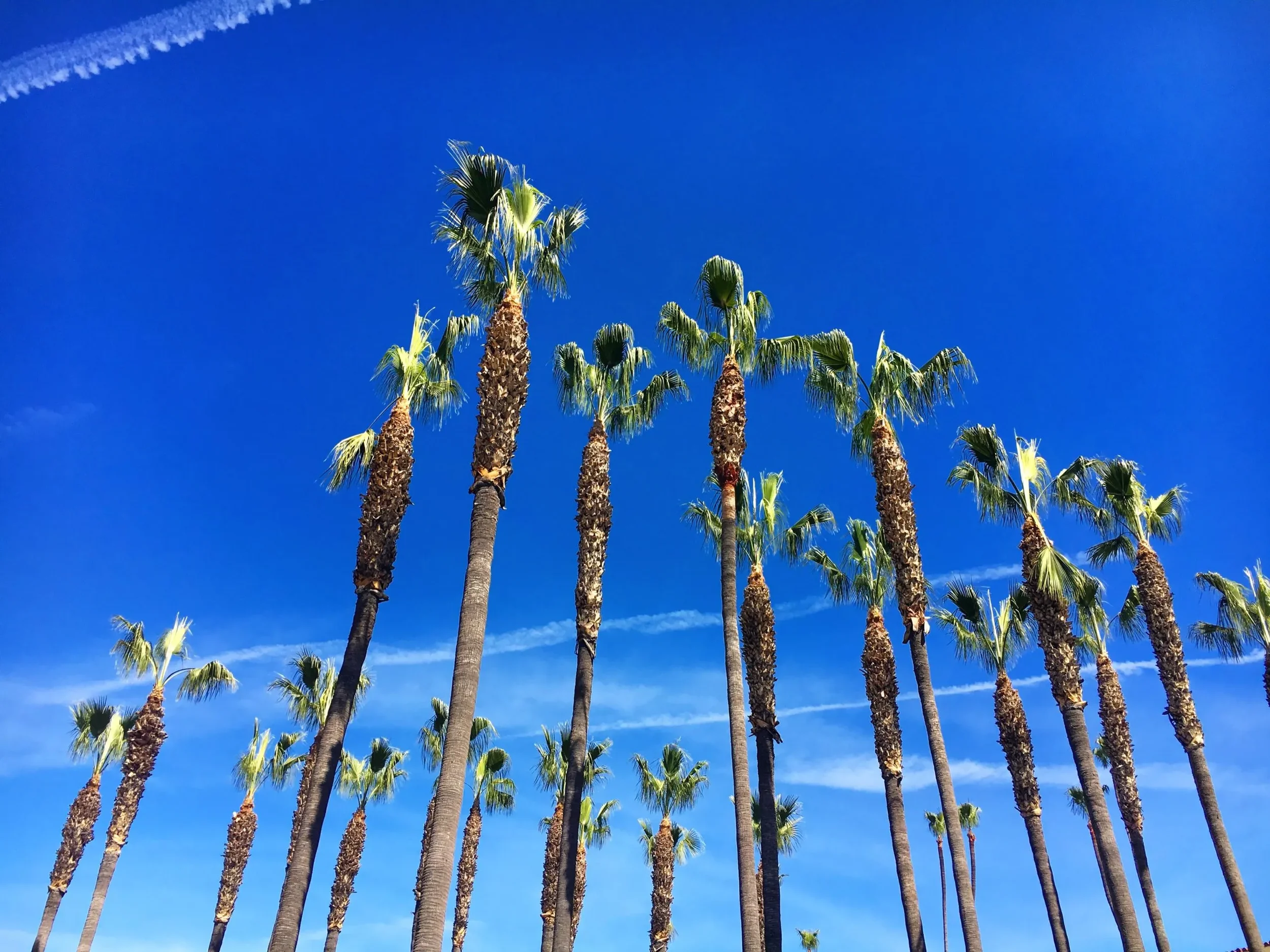 Summer Travel Tip: Visit Santa Barbara Or Los Angeles By Train