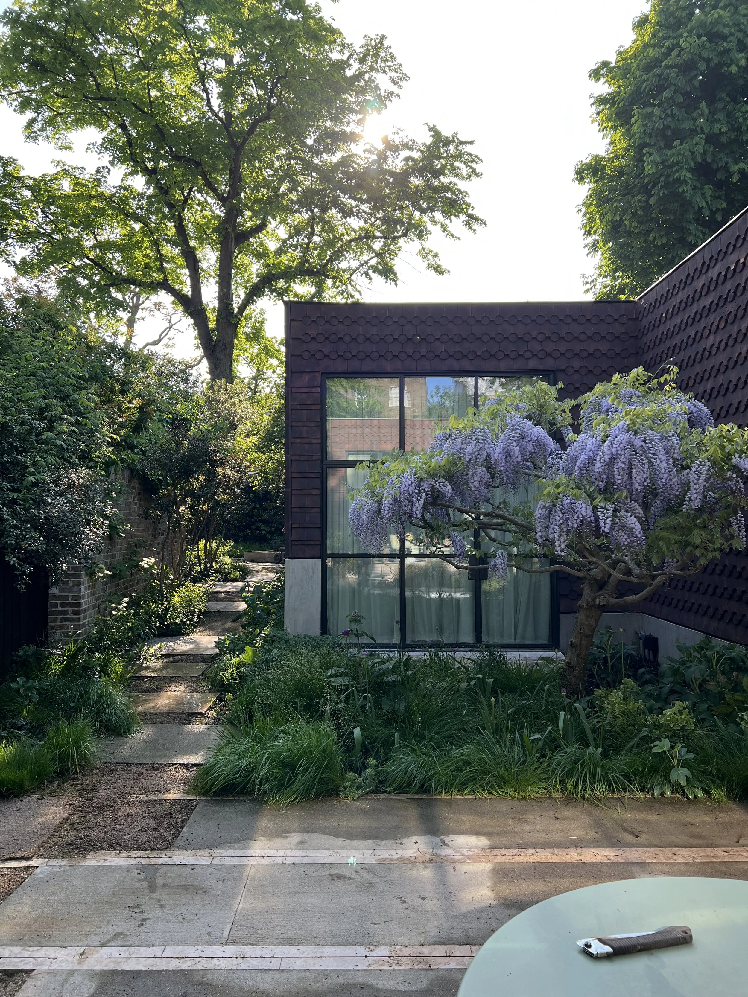 A garden view with a large tree, purple flowering bush, paved pathway, and modern building with large glass windows at sunset.
