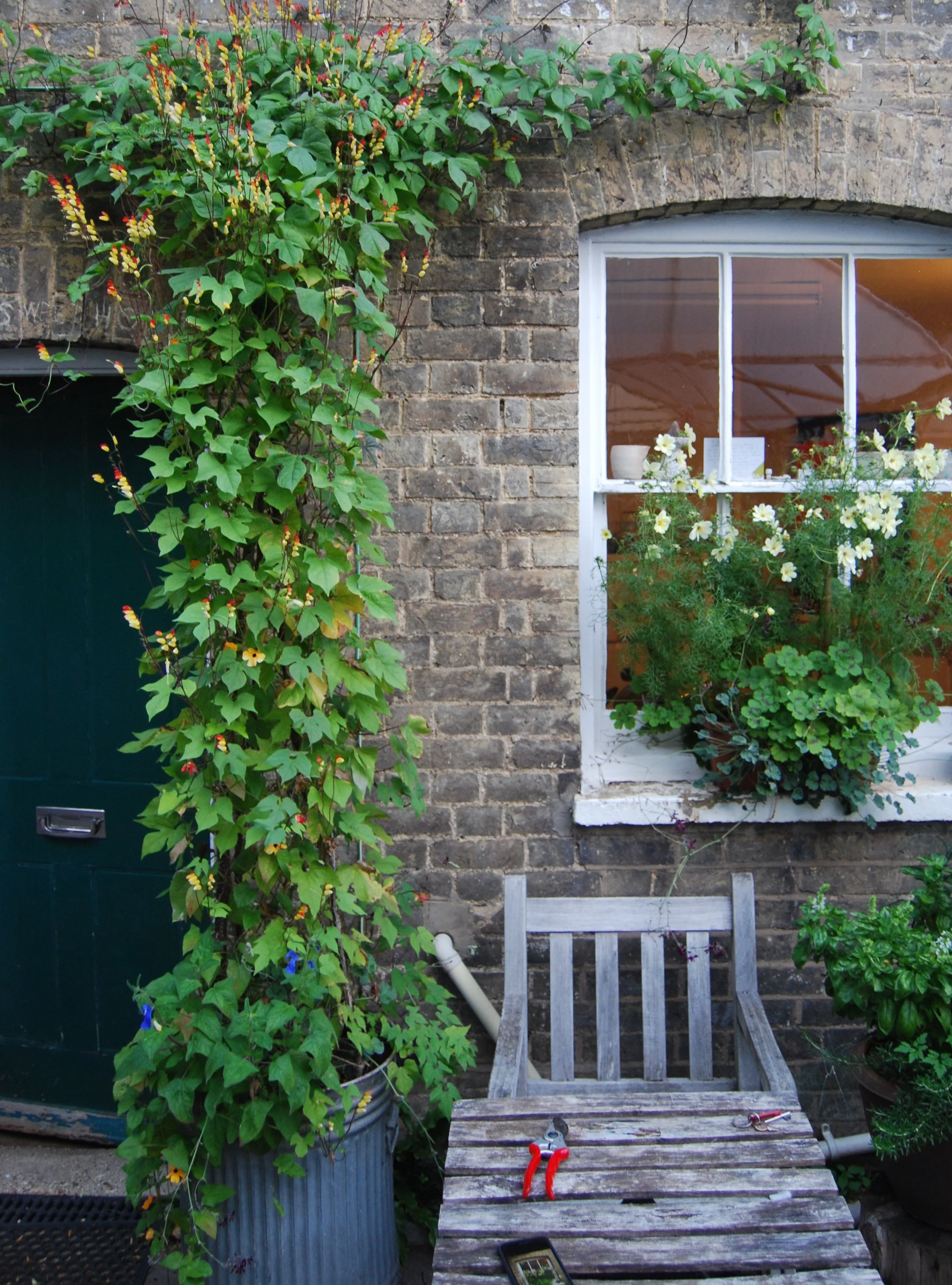 A brick house with a white-framed window showing potted plants and flowers inside. Outside, a green vine with yellow and red flowers climbs the wall next to a dark green door. There is a rustic wooden table with red-handled pruning shears and a cordl