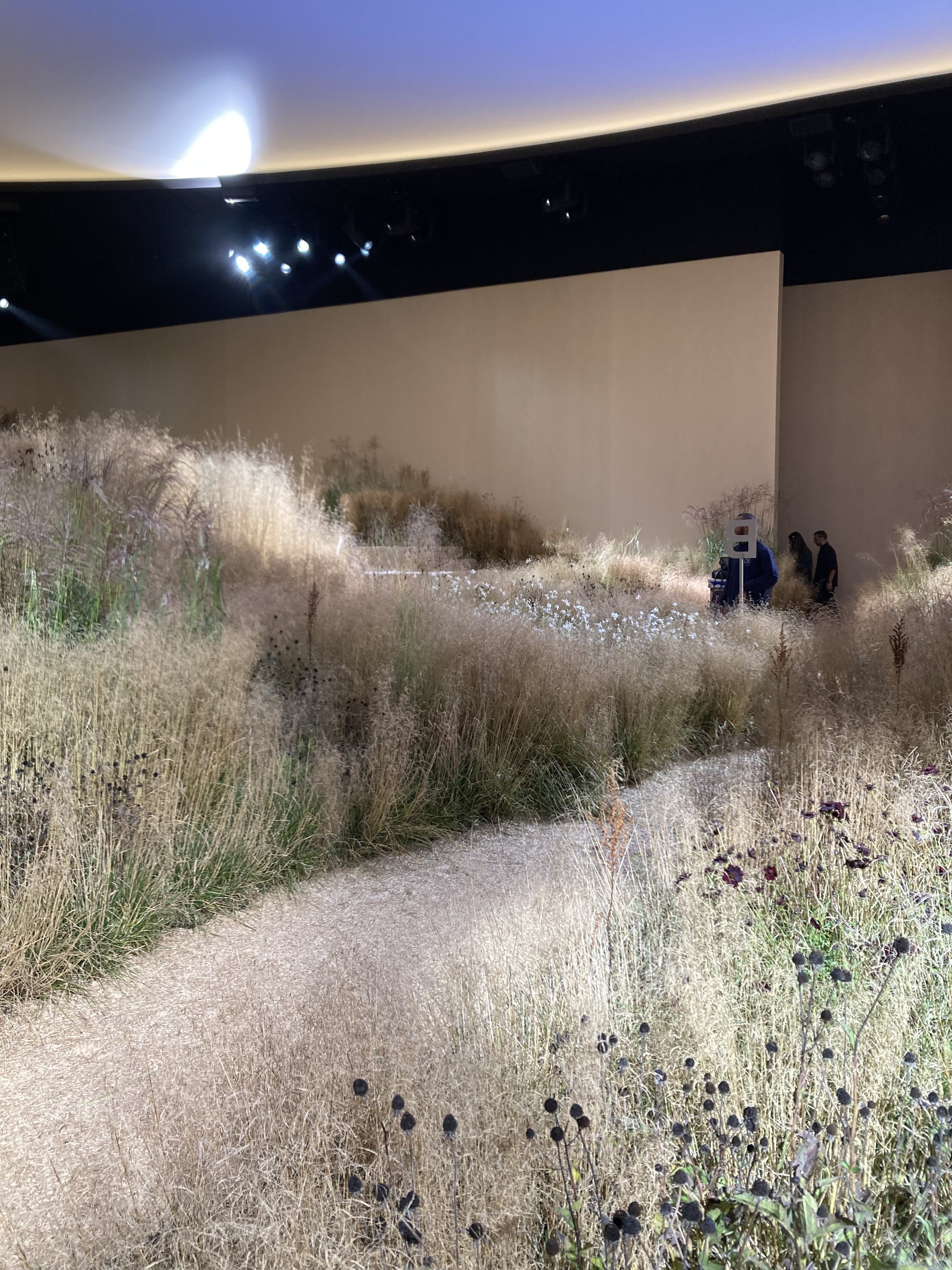 Indoor art installation featuring a field of dried grasses, flowers, and plants with a pathway, set against a large beige wall and illuminated ceiling lights.