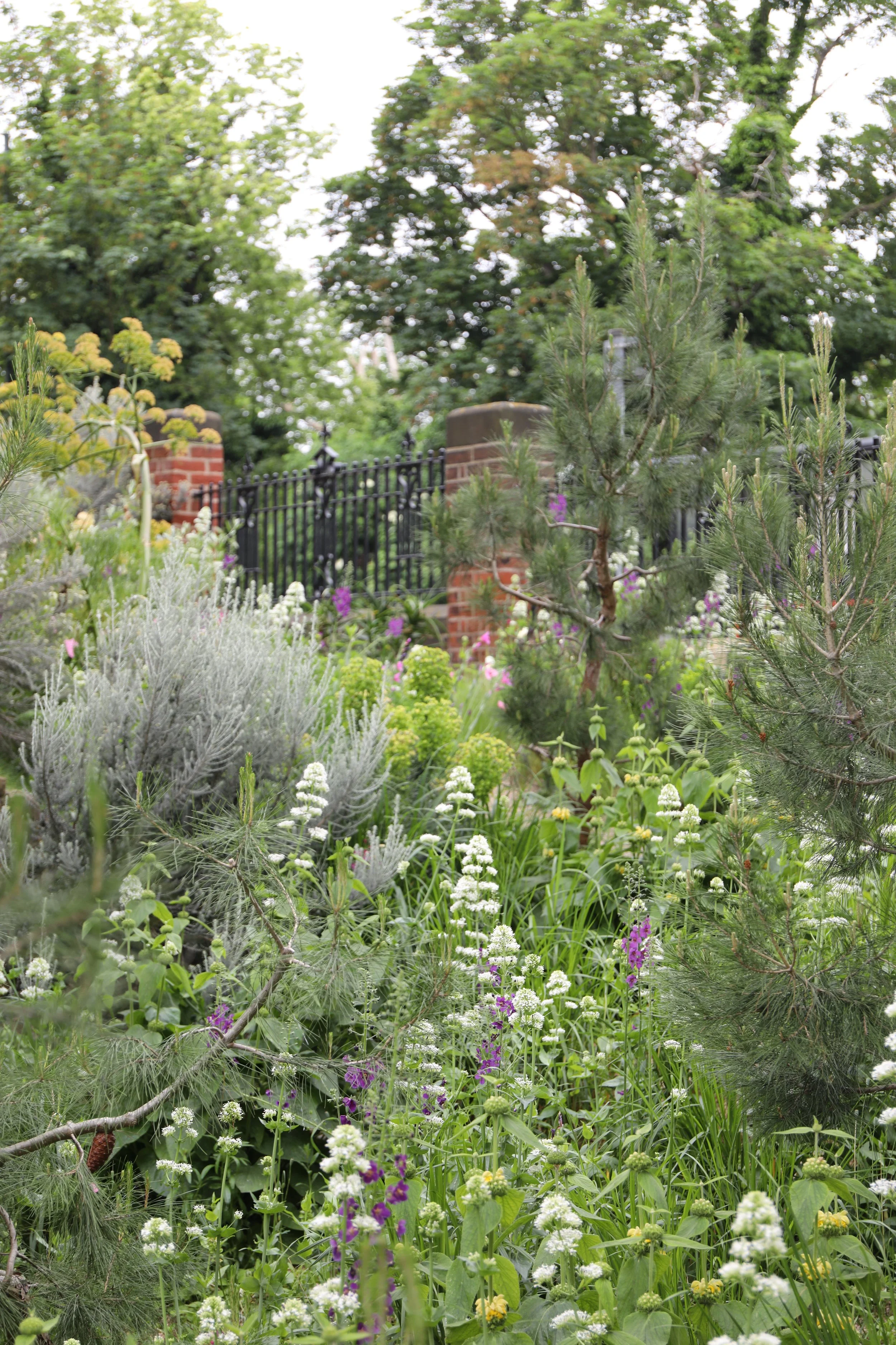 A lush garden with a variety of green plants, trees, and flowers, enclosed by a black wrought iron fence and brick pillars, with a background of tall trees and an overcast sky.