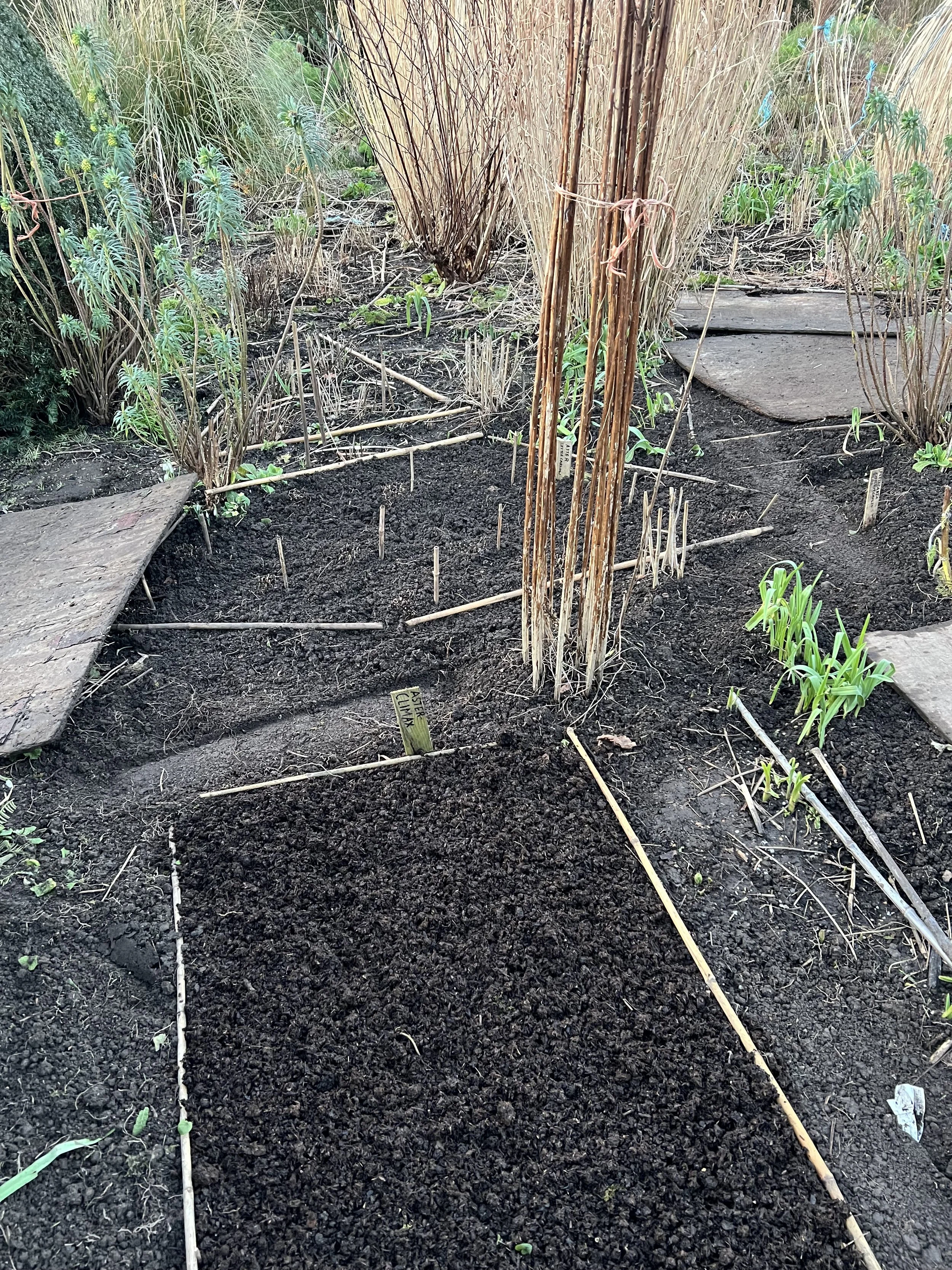 A garden bed with freshly turned dark soil, surrounded by garden stakes and small plants beginning to sprout, with a pathway on both sides and tall dry grasses in the background.