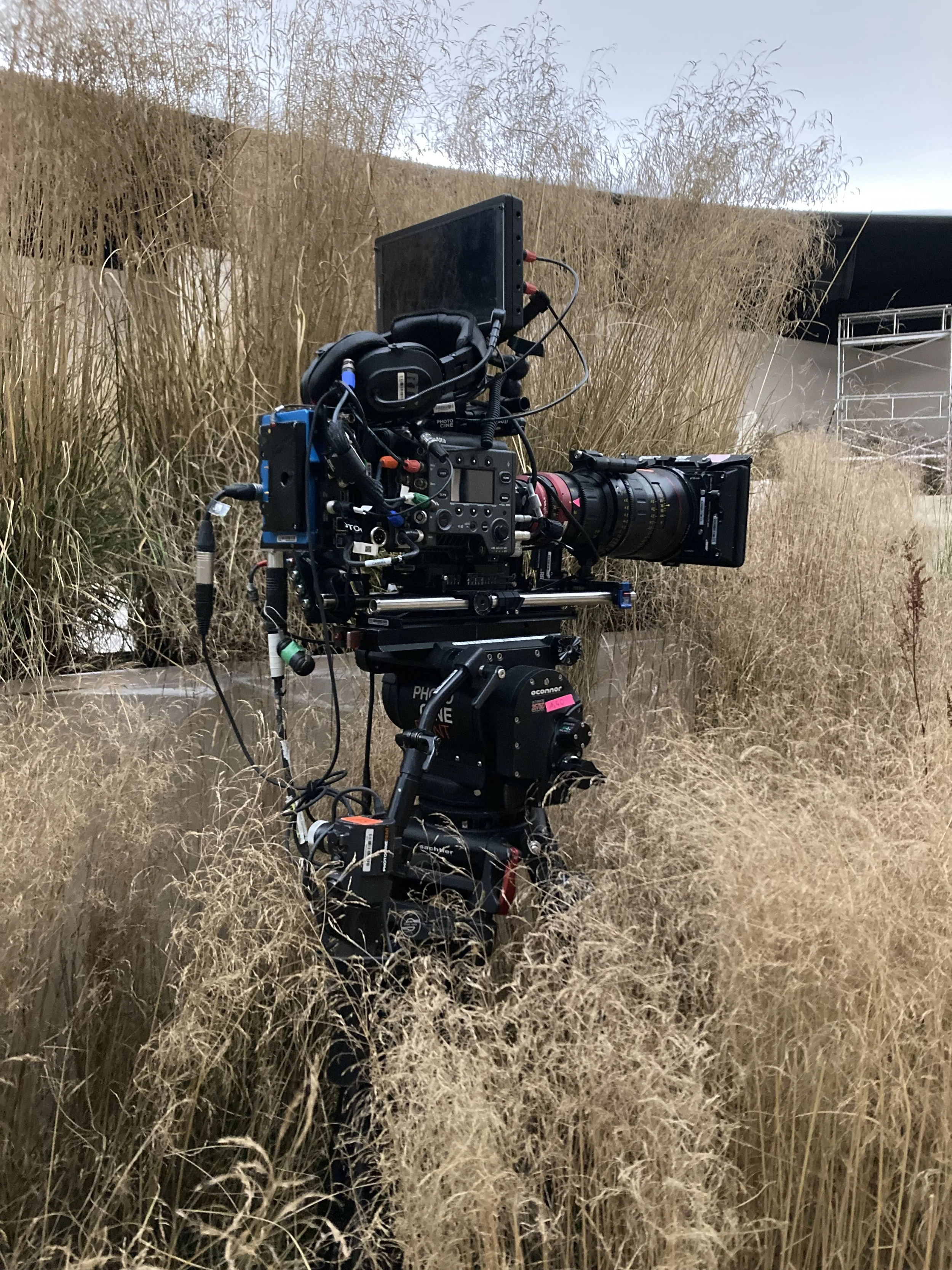 A professional video camera on a tripod in a field of tall, dry grass, with a weathered building and a scaffold in the background.