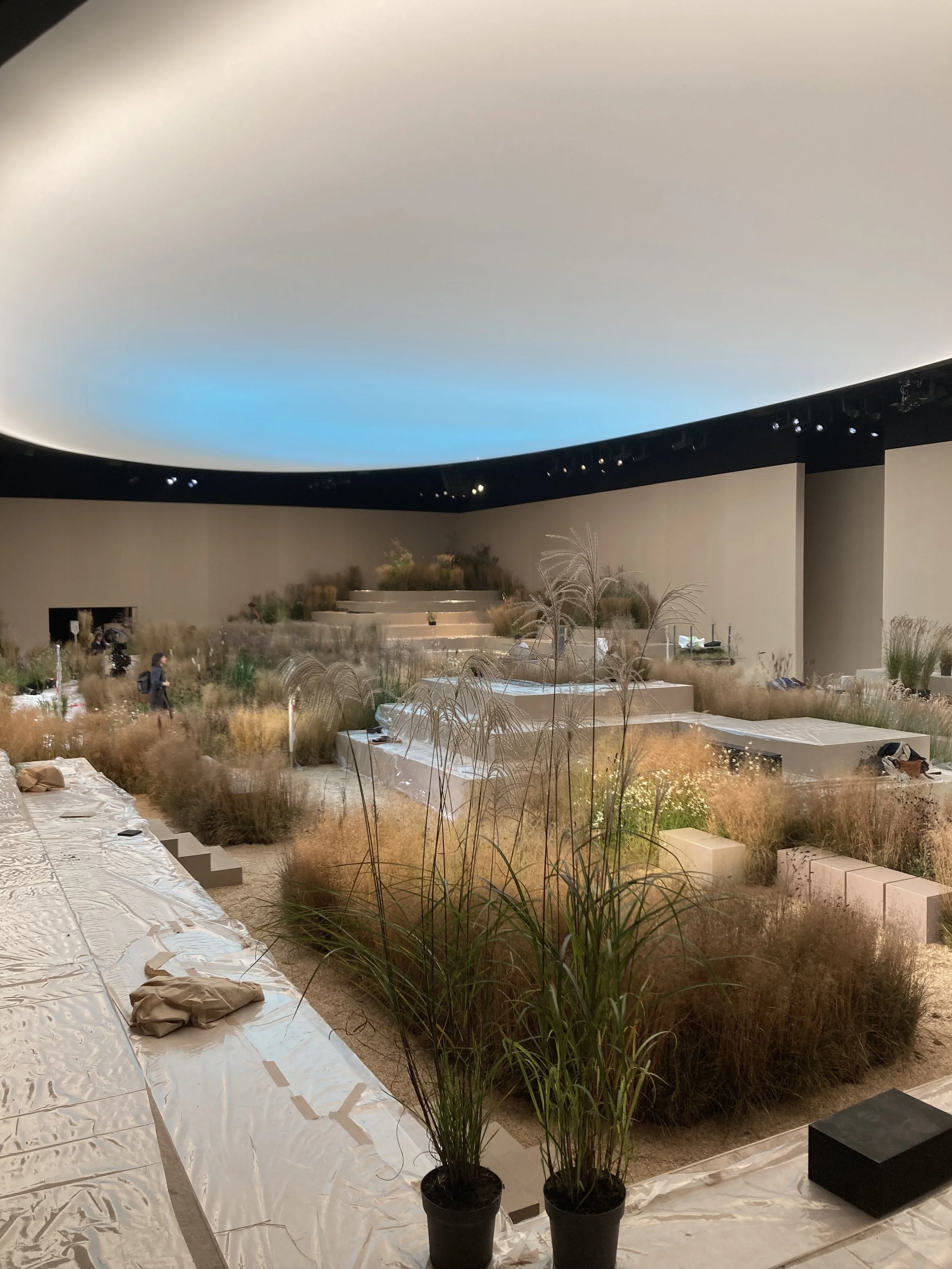 Indoor installation featuring a landscape with tall grasses and plants, under a large, curved, gradient ceiling resembling the sky.
