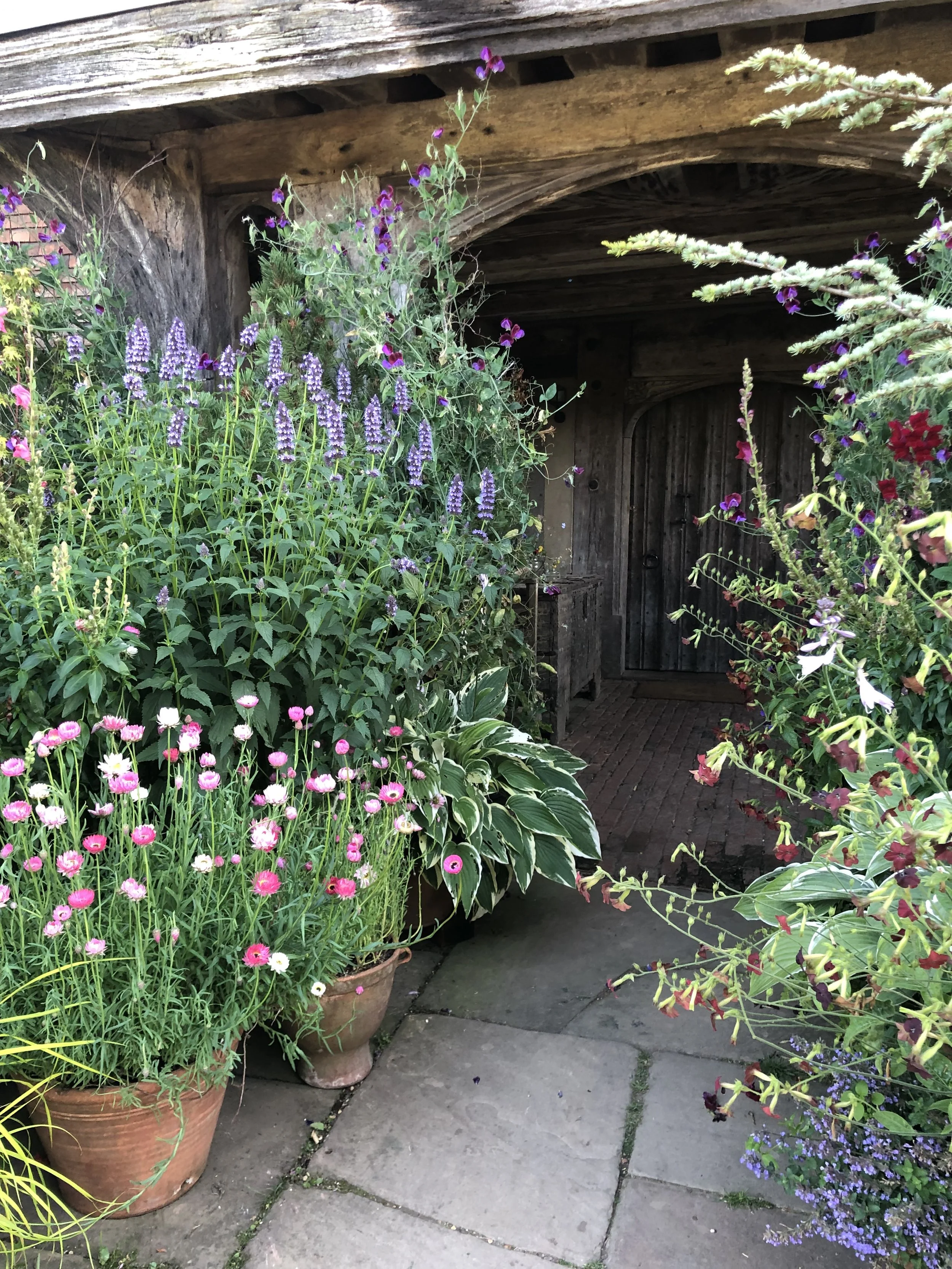 Flower pots filled with pink, purple, and white flowers outside a rustic wooden door with a brick pathway leading to it.